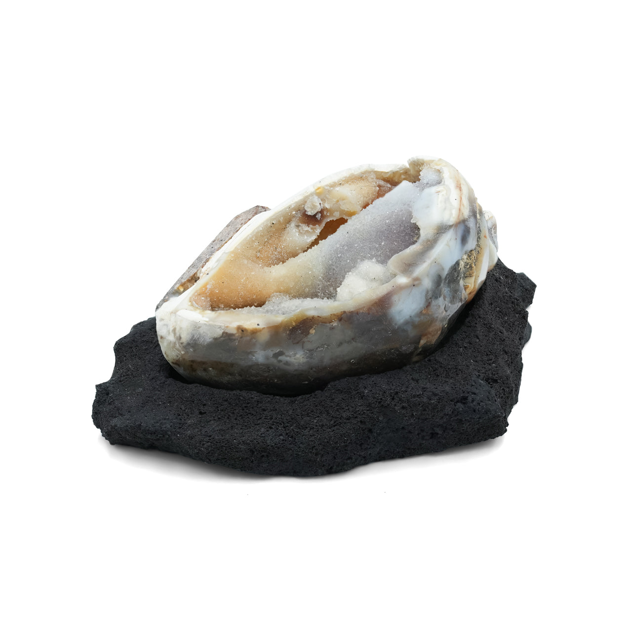 Alternate angled view of a fossilized drusy shell resting on a lava rock stand showing crystalline texture and organic shape.