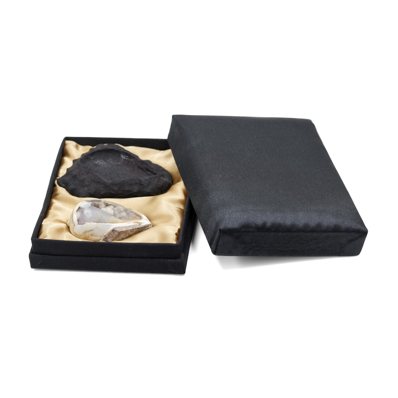 Second angled view of the fossilized drusy shell with lava rock stand presented alongside an open presentation box
