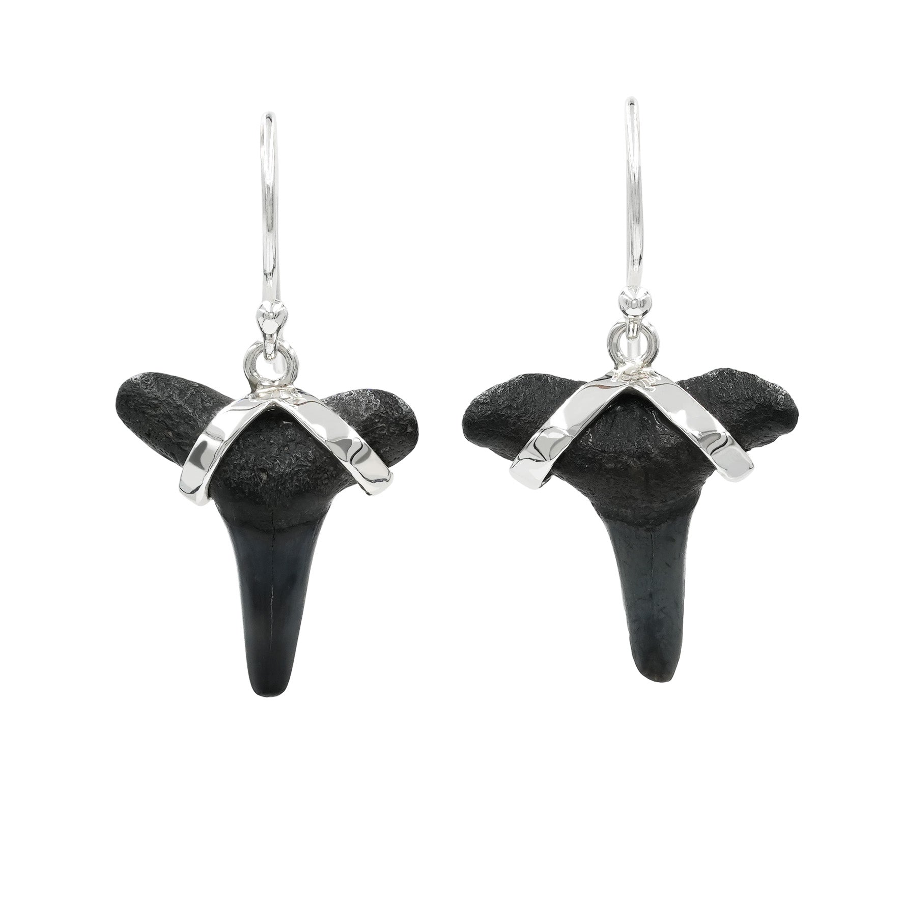 Starborn Dark Fossil Shark Tooth Sterling Silver Earrings