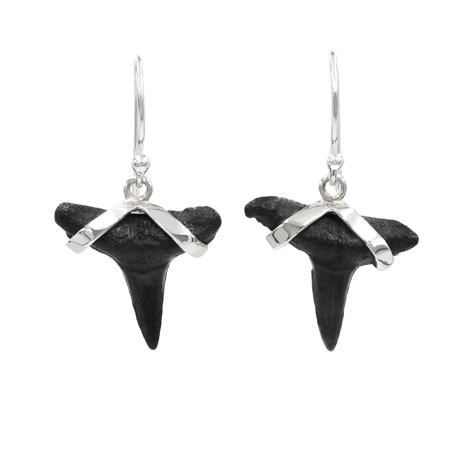 Pendientes de plata de ley con dientes de tiburón fósil 