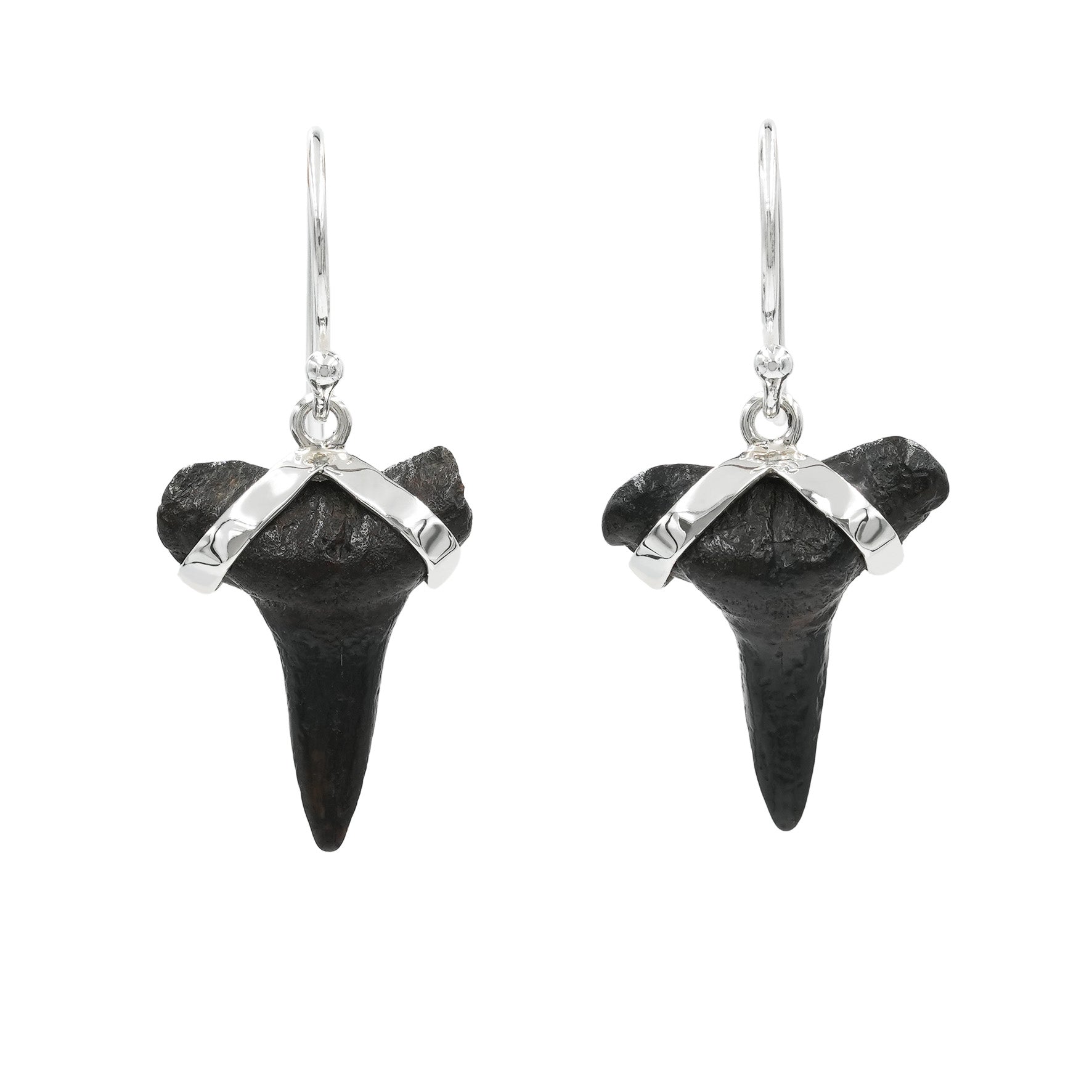 Pendientes de plata de ley con dientes de tiburón fósil 