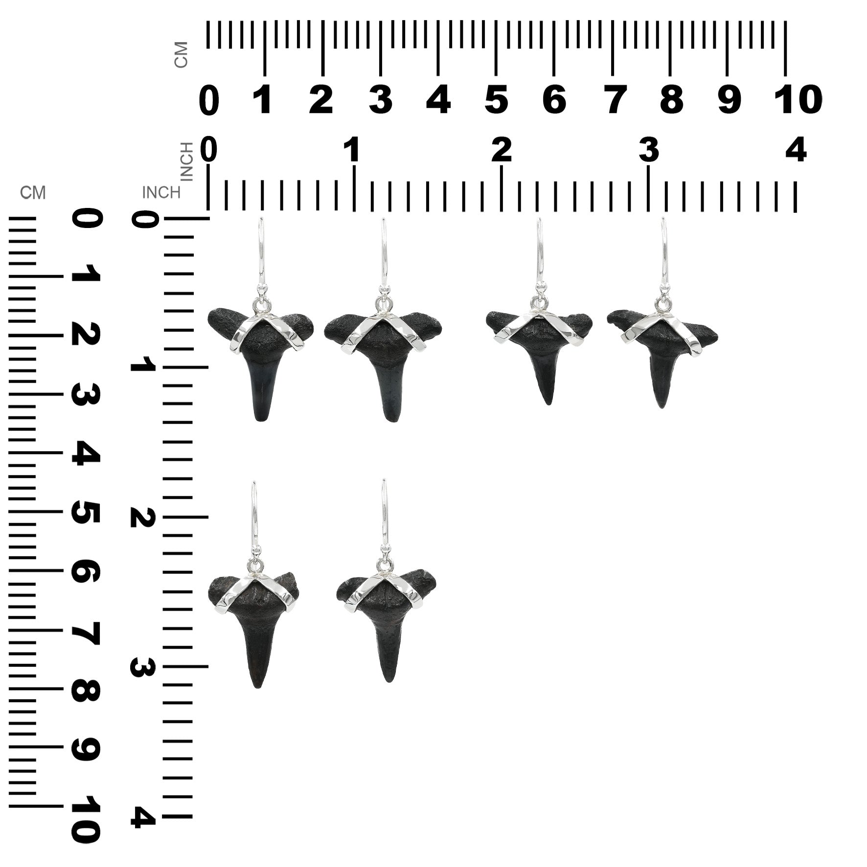 Pendientes de plata de ley con dientes de tiburón fósil 