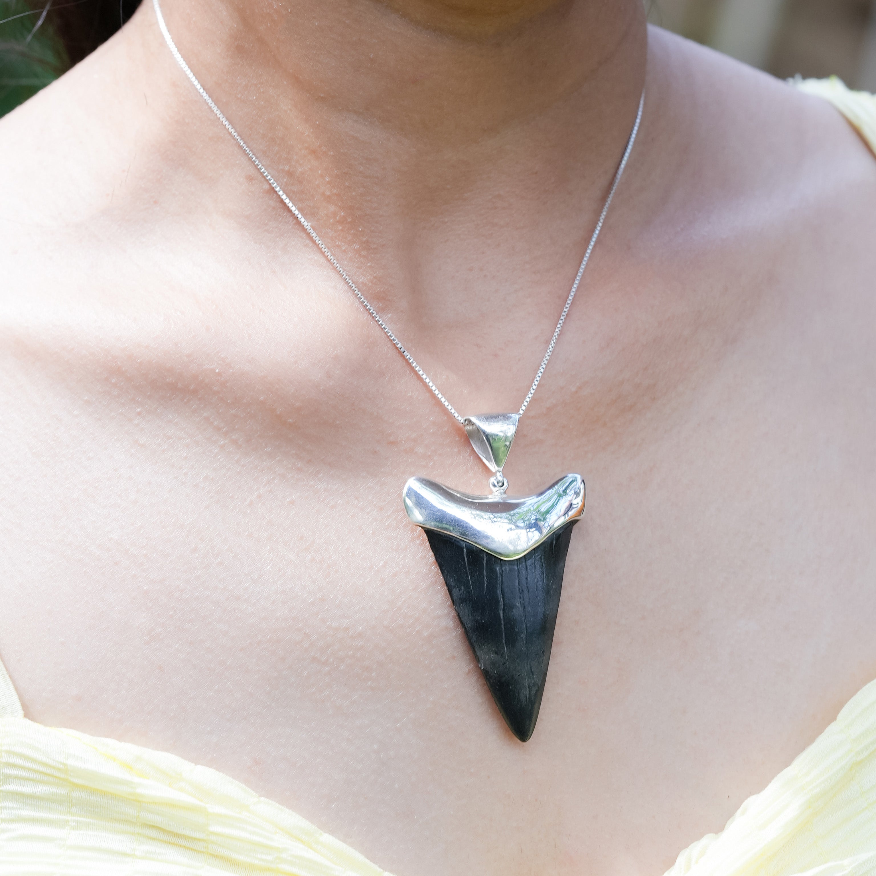 Starborn Fossil Shark Tooth Pendant in Sterling Silver