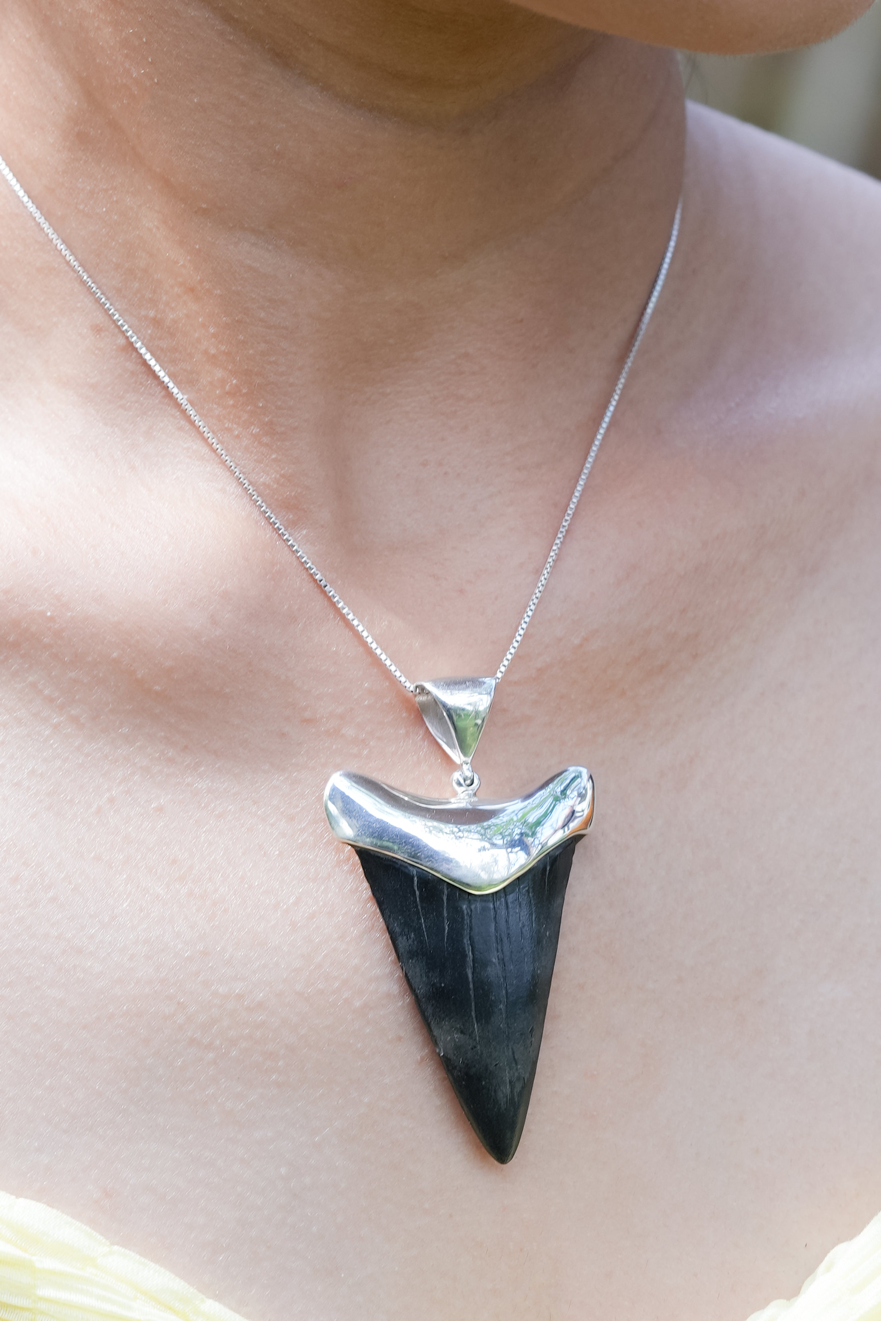 Starborn Fossil Haifischzahn-Anhänger in Kappenfassung aus feinem Sterlingsilber