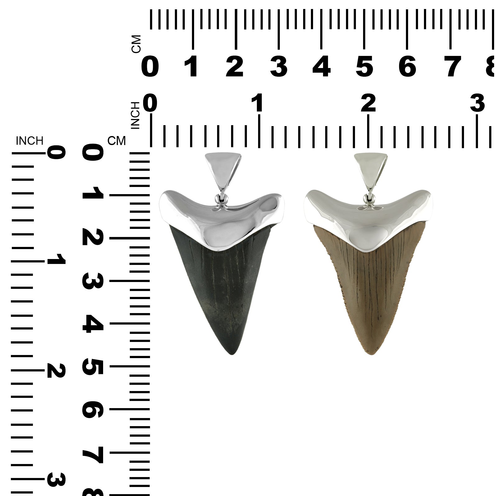 Starborn Fossil Haifischzahn-Anhänger in Kappenfassung aus feinem Sterlingsilber