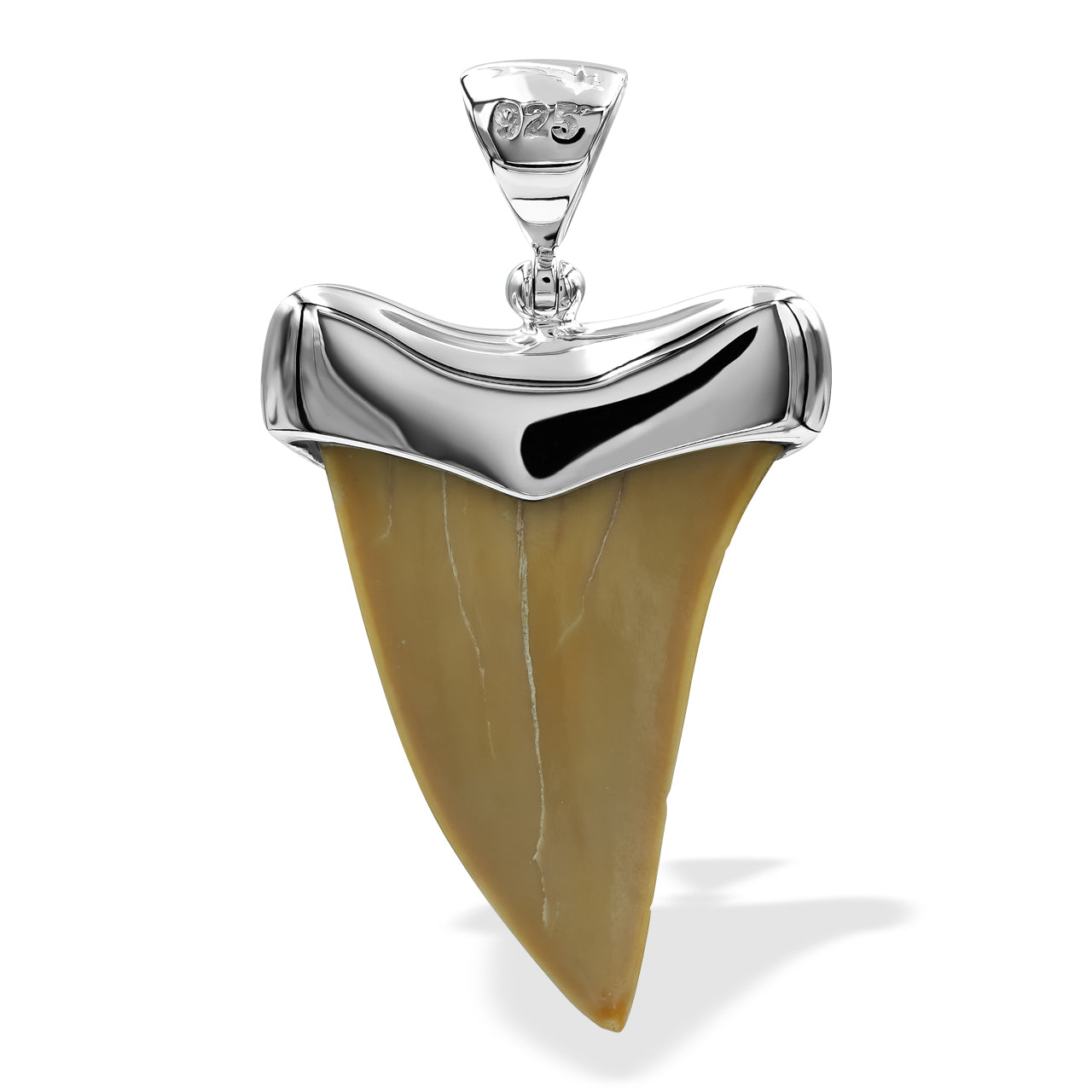 Colgante con forma de diente de tiburón fósil de Starborn en plata de ley