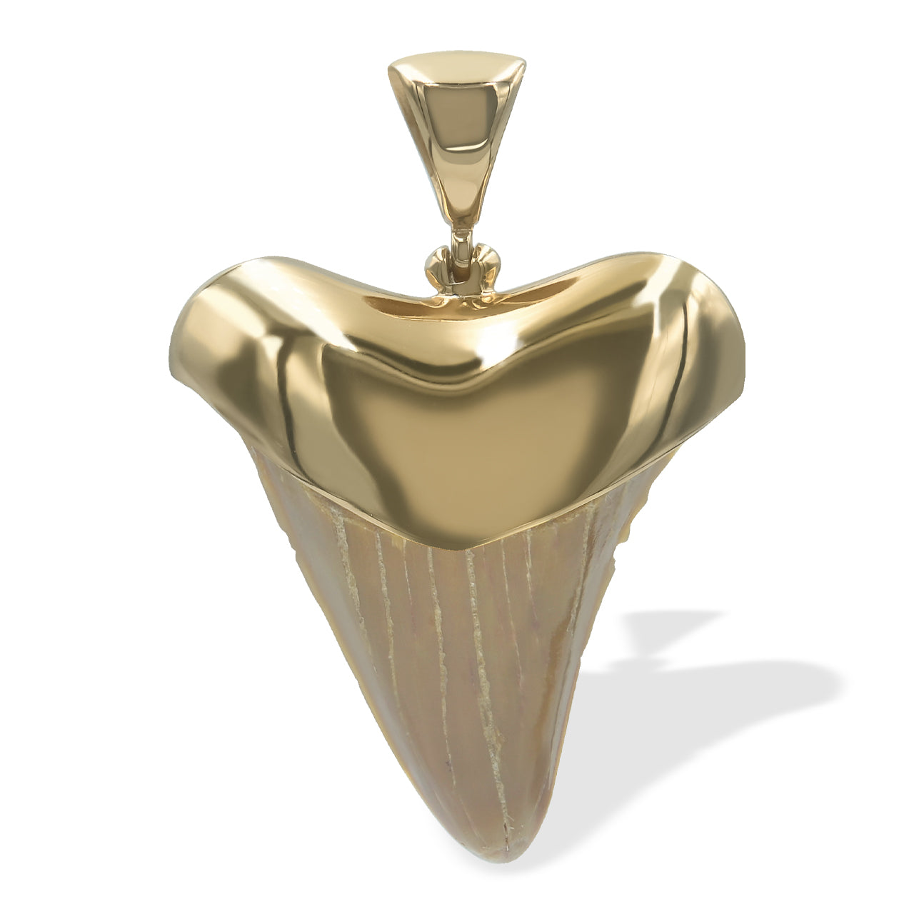 Starborn Creations Colgante de diente de tiburón fósil de latón chapado en oro de 18 quilates
