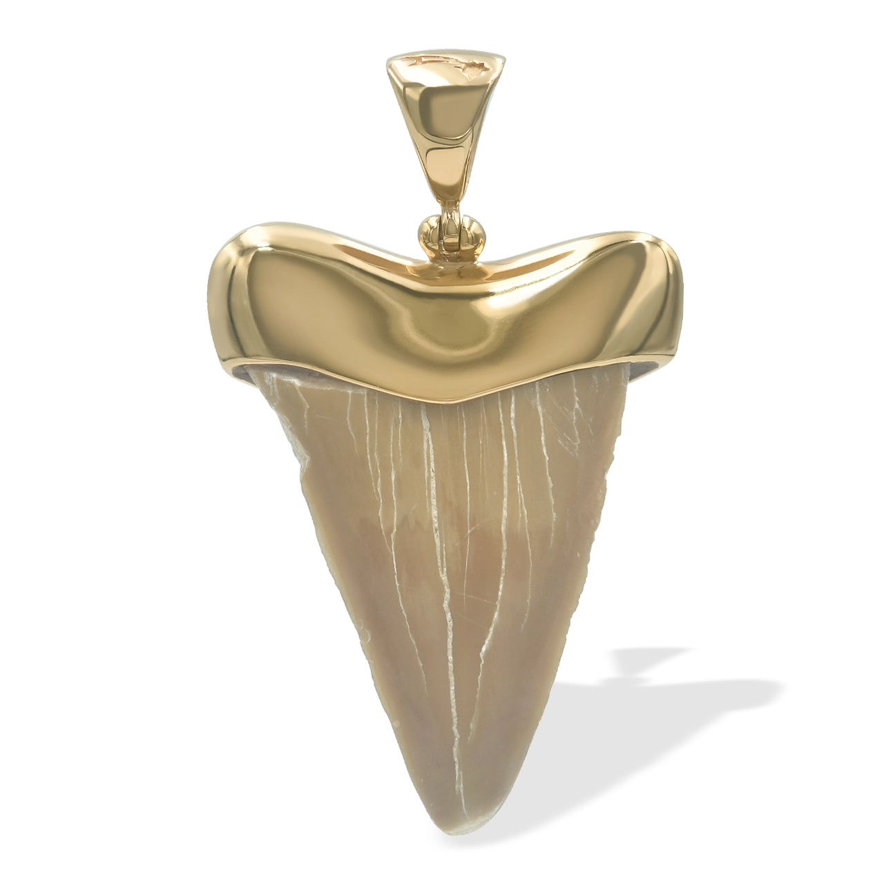 Starborn Creations Colgante de diente de tiburón fósil de latón chapado en oro de 18 quilates