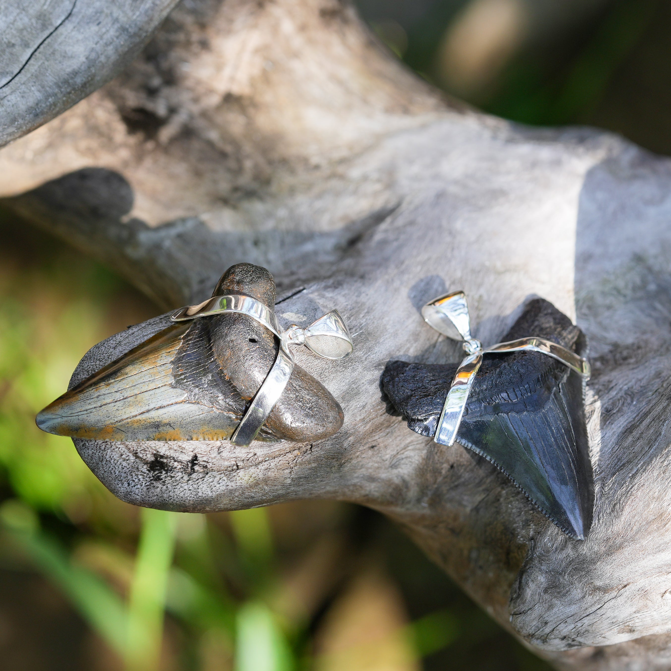 Starborn Dark Fossil Shark Tooth Sterling Silver Pendant
