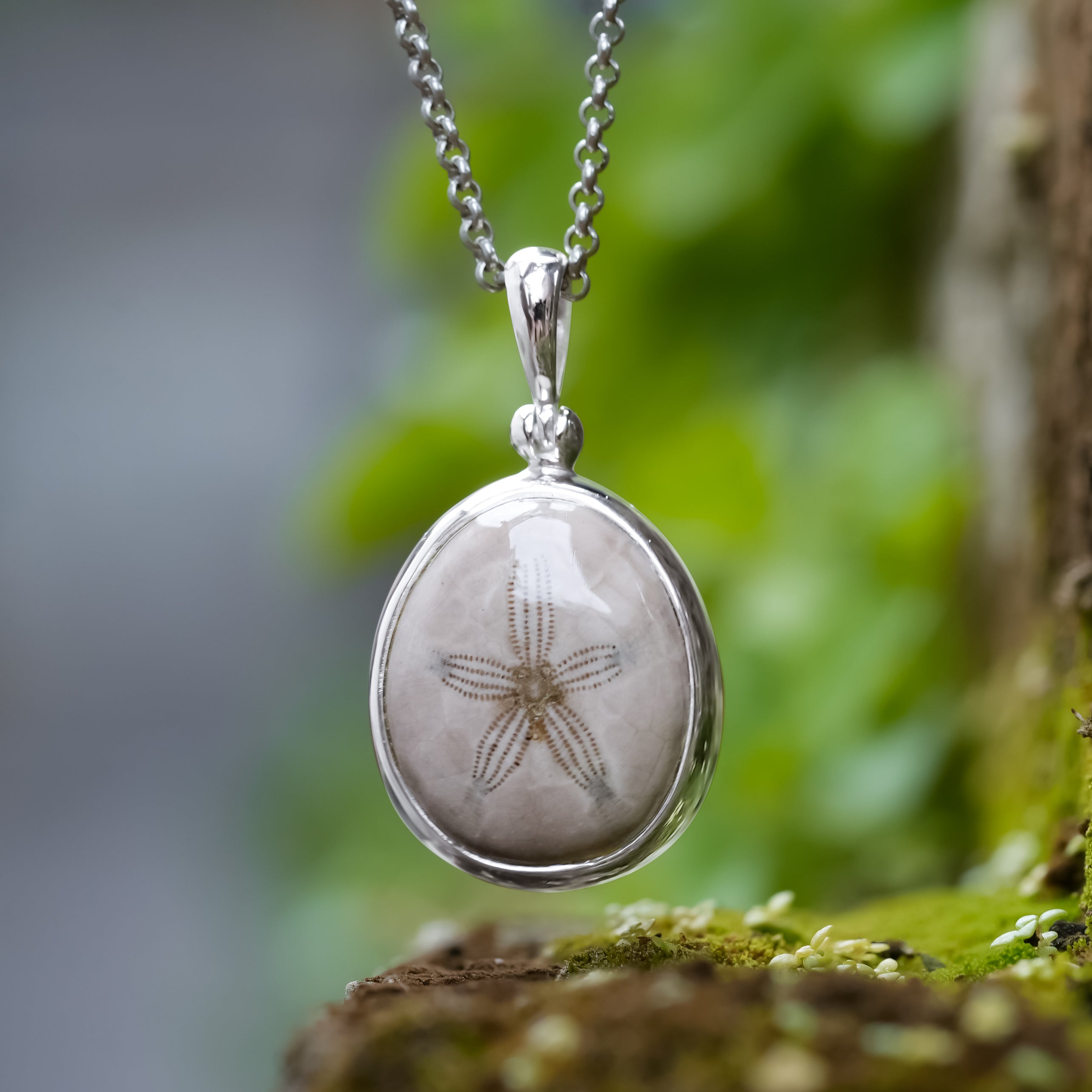 Colgante de erizo de mar fosilizado Starborn en plata de ley 