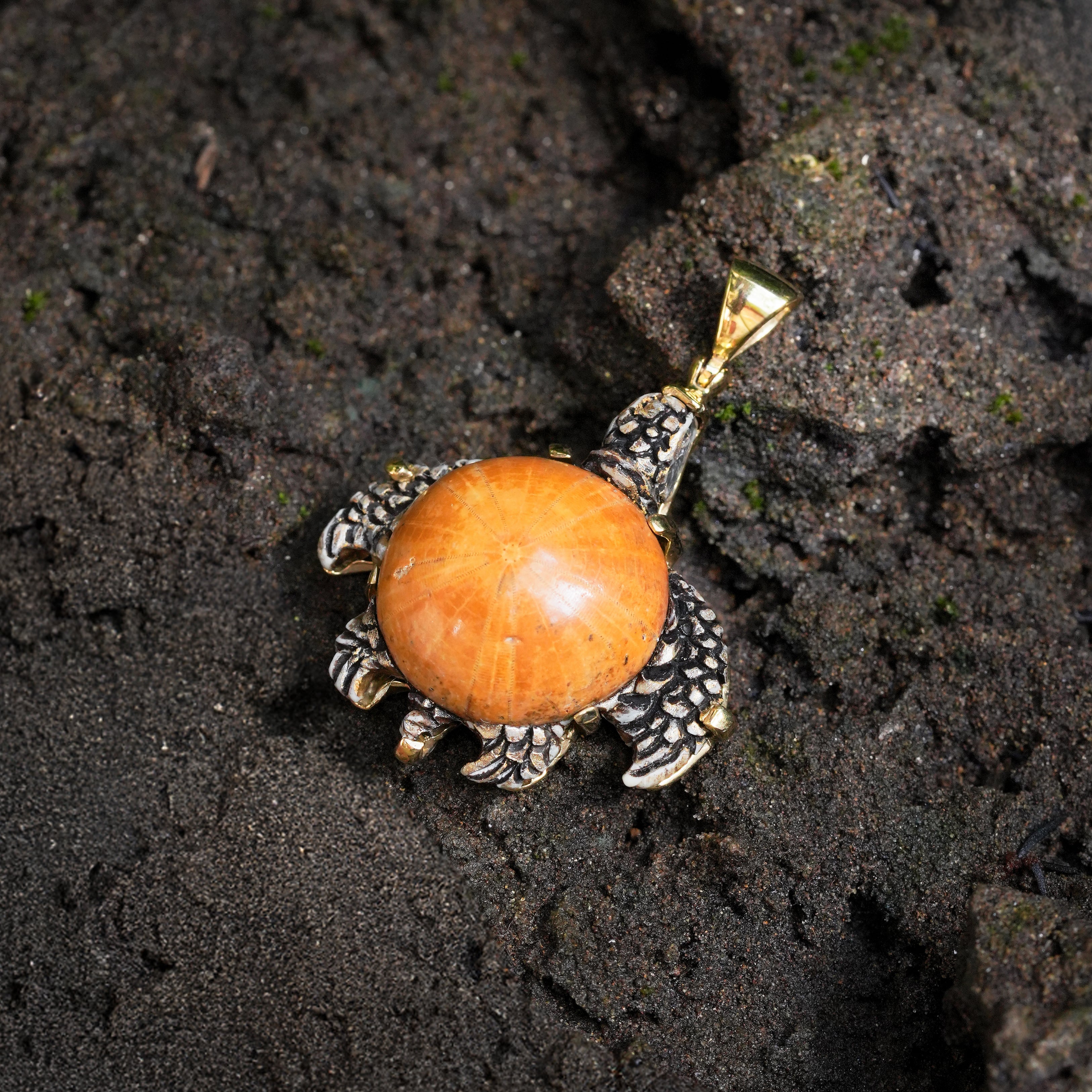 Starborn Fossil Sea Urchin Tutrle Carving Pendant in Nordic Gold