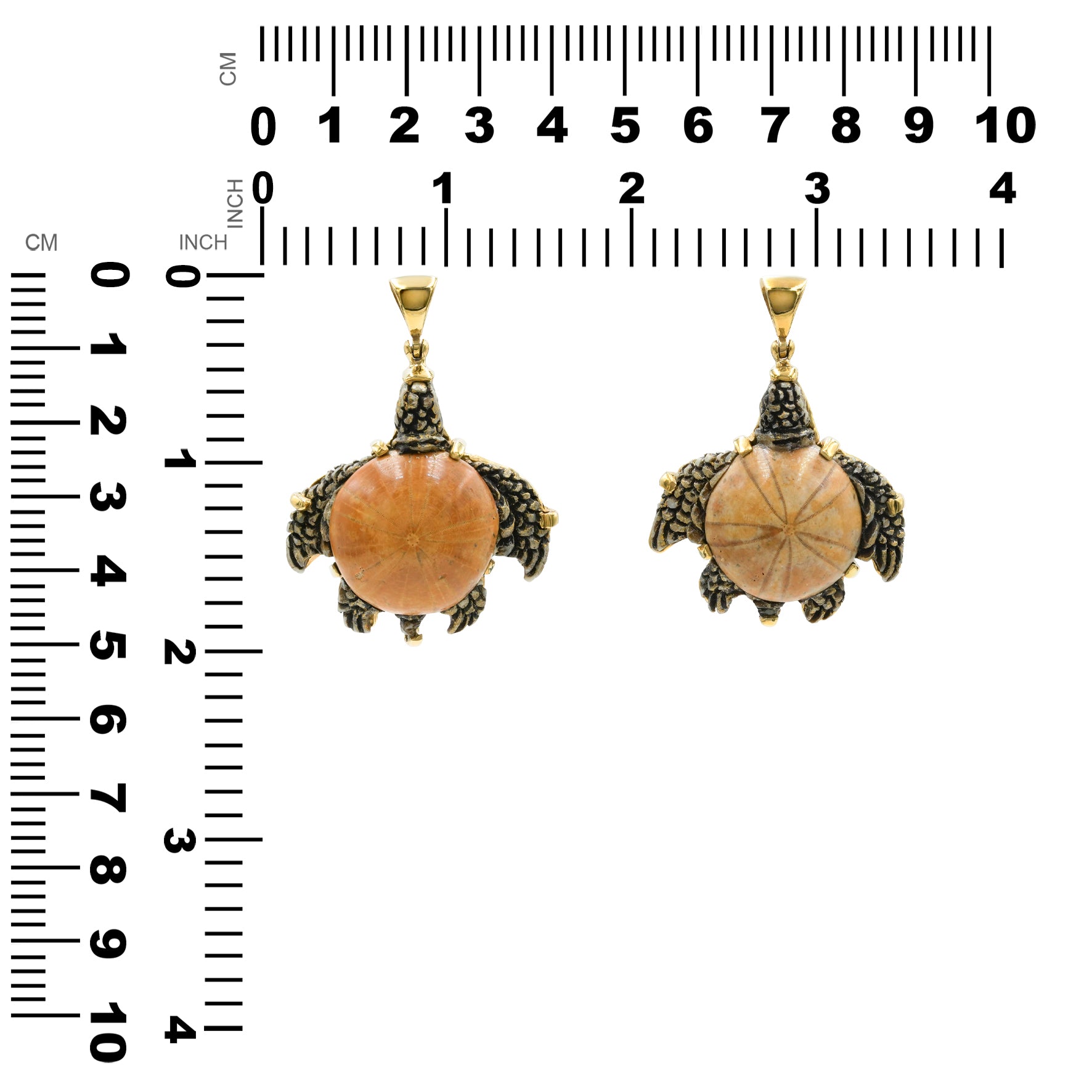 Starborn Fossil Sea Urchin Tutrle Carving Pendant in Nordic Gold