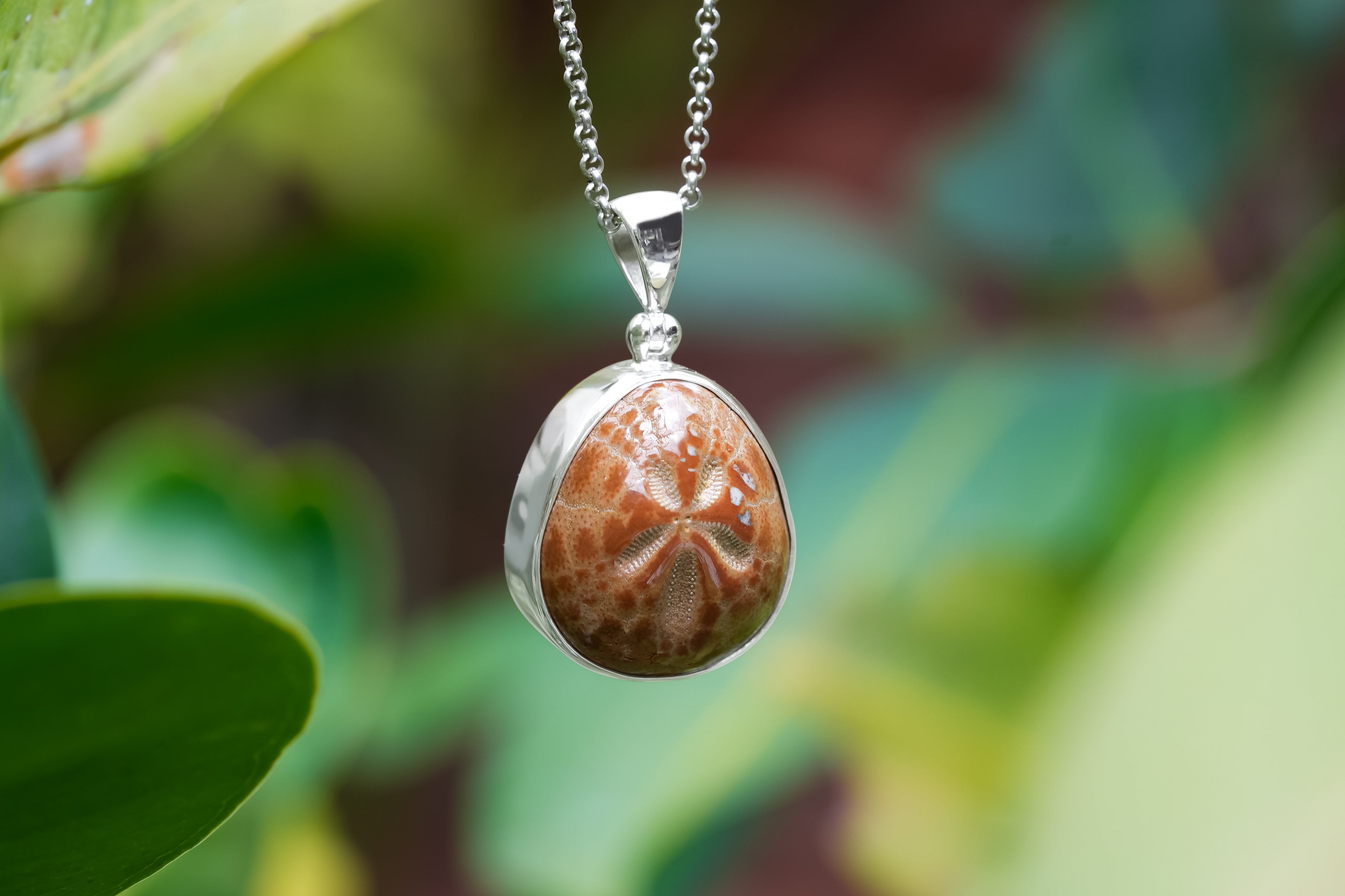 Starborn Fossil Sea Urchin Tutrle Carving Pendant in Nordic Gold