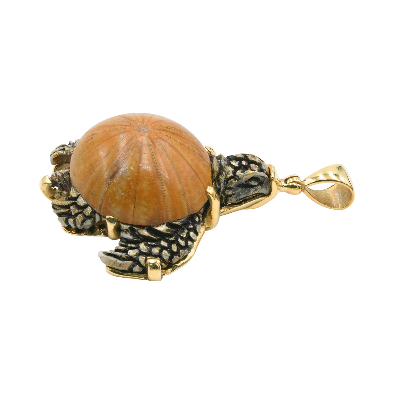 Starborn Fossil Sea Urchin Tutrle Carving Pendant in Nordic Gold