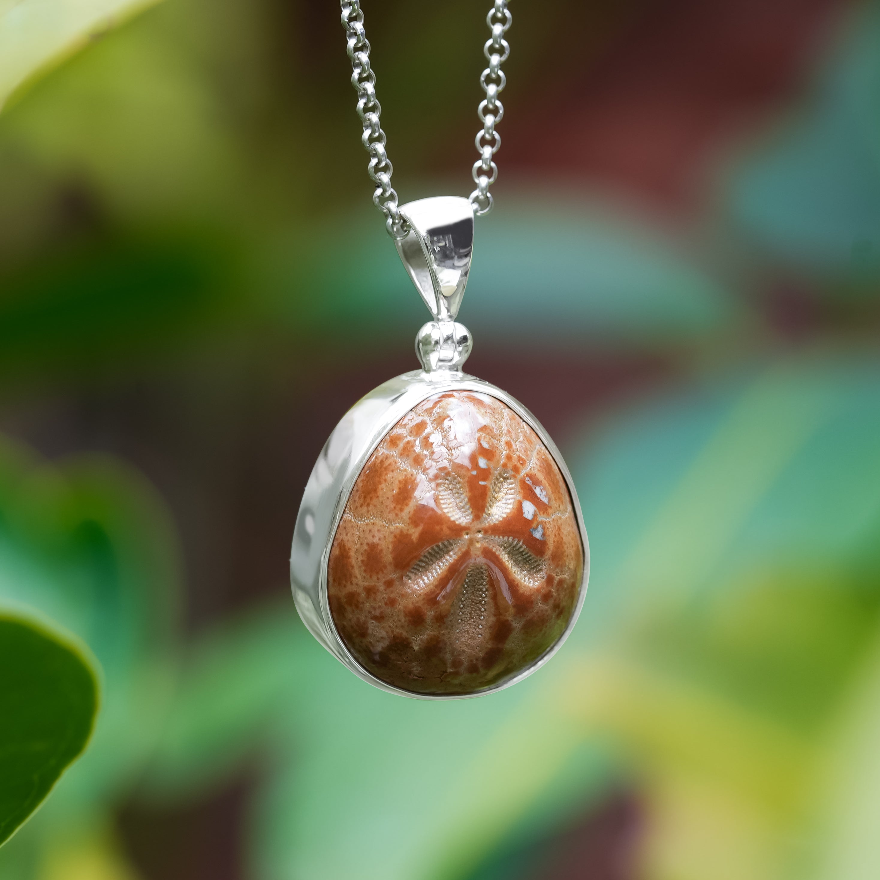 Starborn Fossil Sea Urchin Tutrle Carving Pendant in Nordic Gold