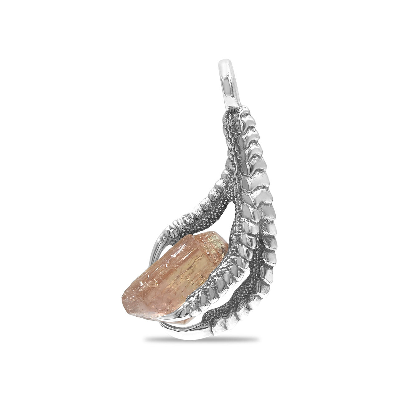 Starborn Gemstone Eagle Claw Pendant in Sterling Silver