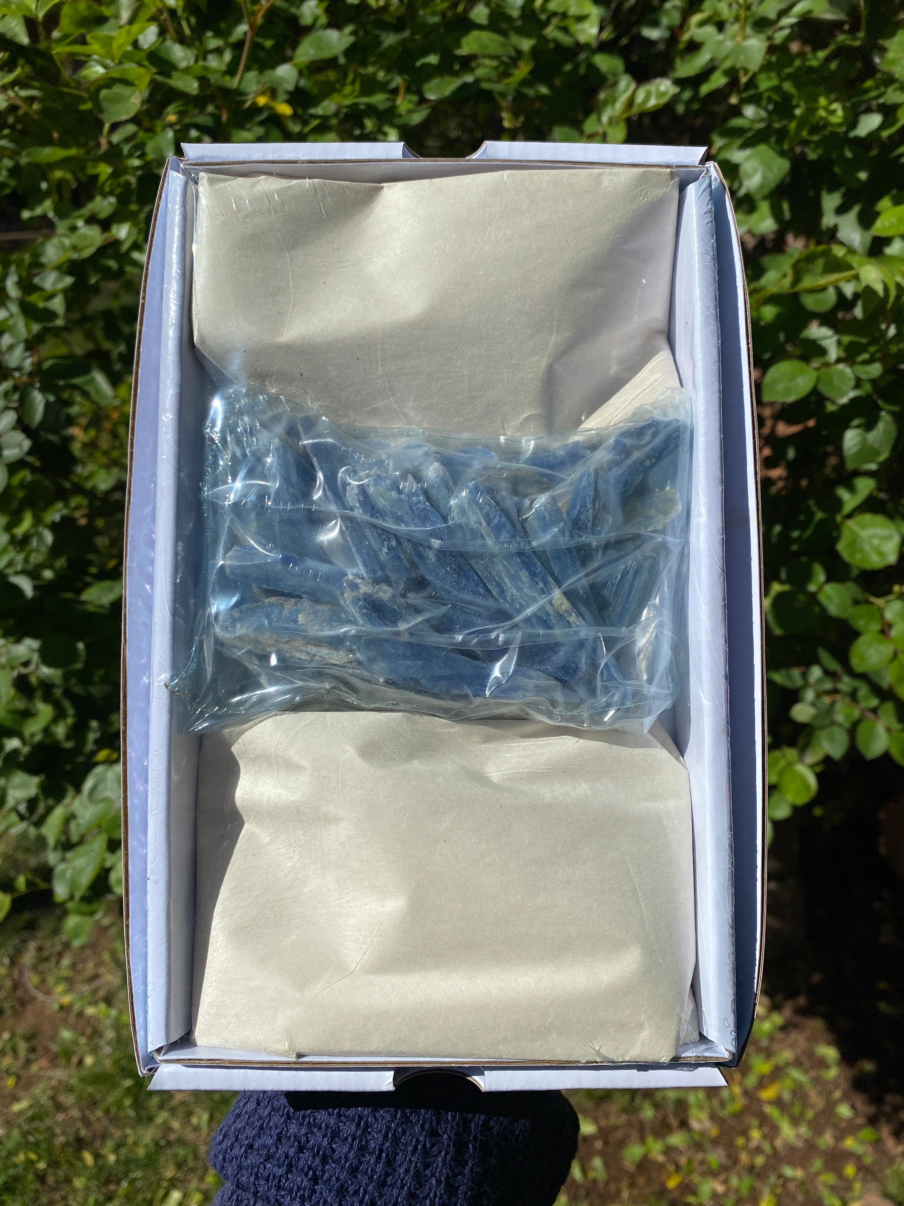 Starborn Blue Kyanite Blades 200 grams - LOT