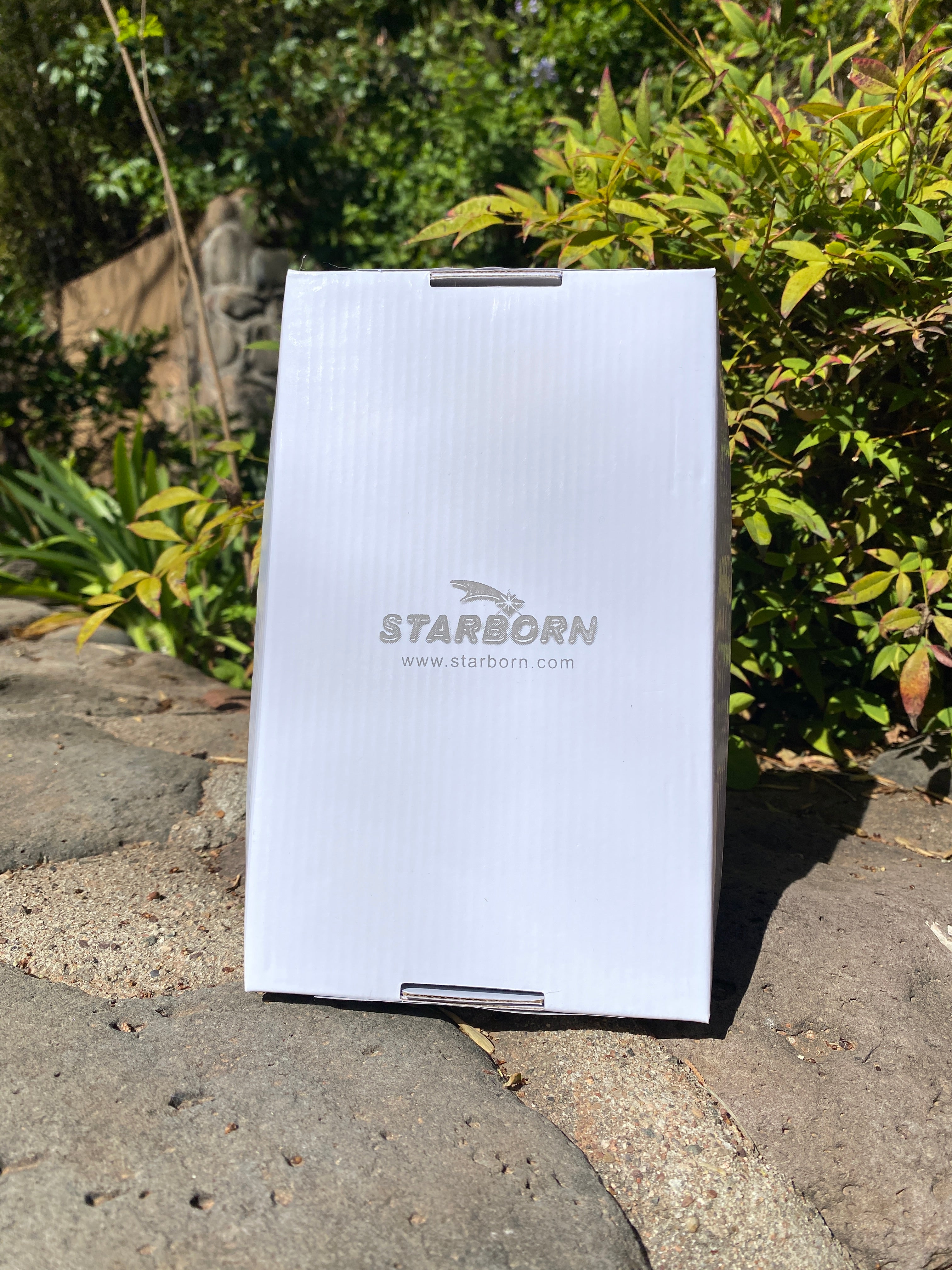 Starborn Blue Kyanite Blades 200 grams - LOT