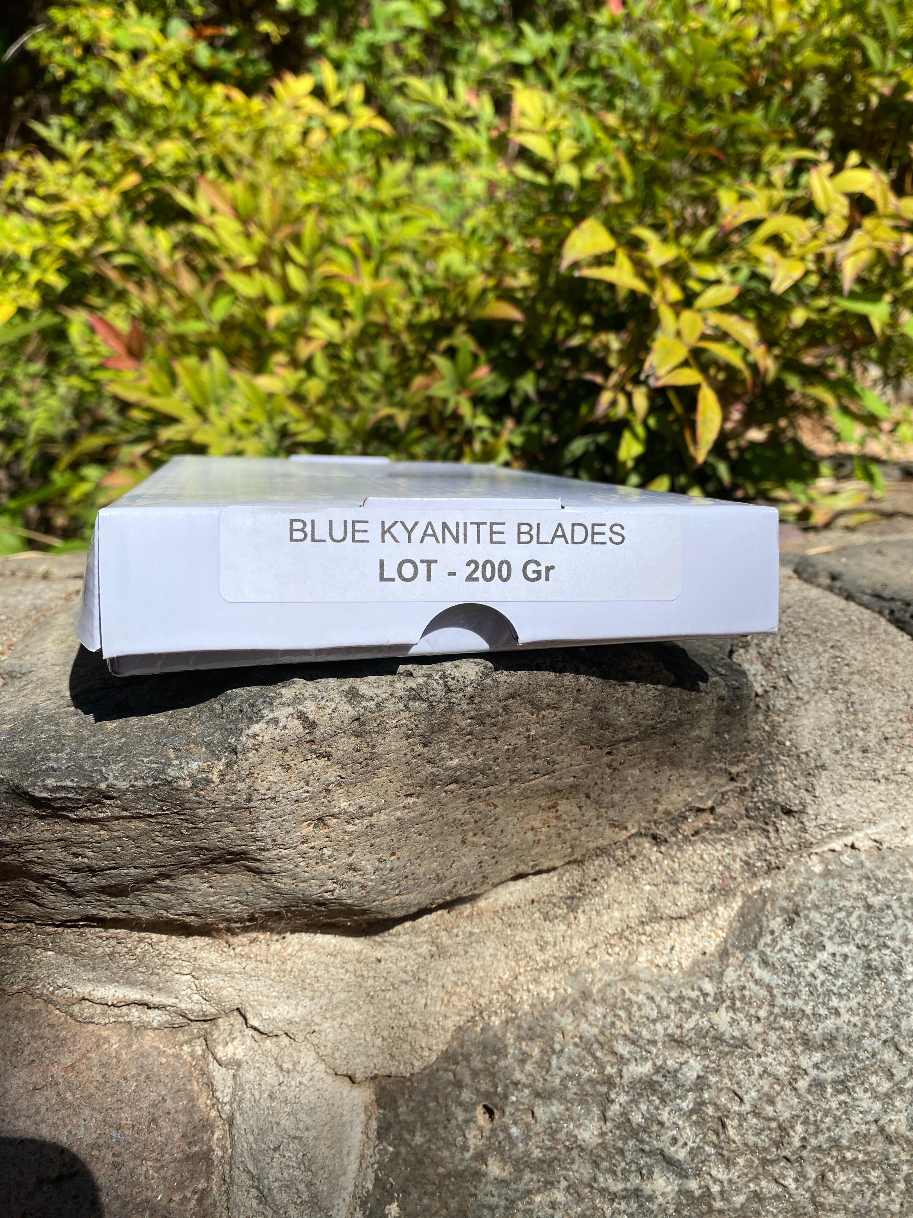 Starborn Blue Kyanite Blades 200 grams - LOT