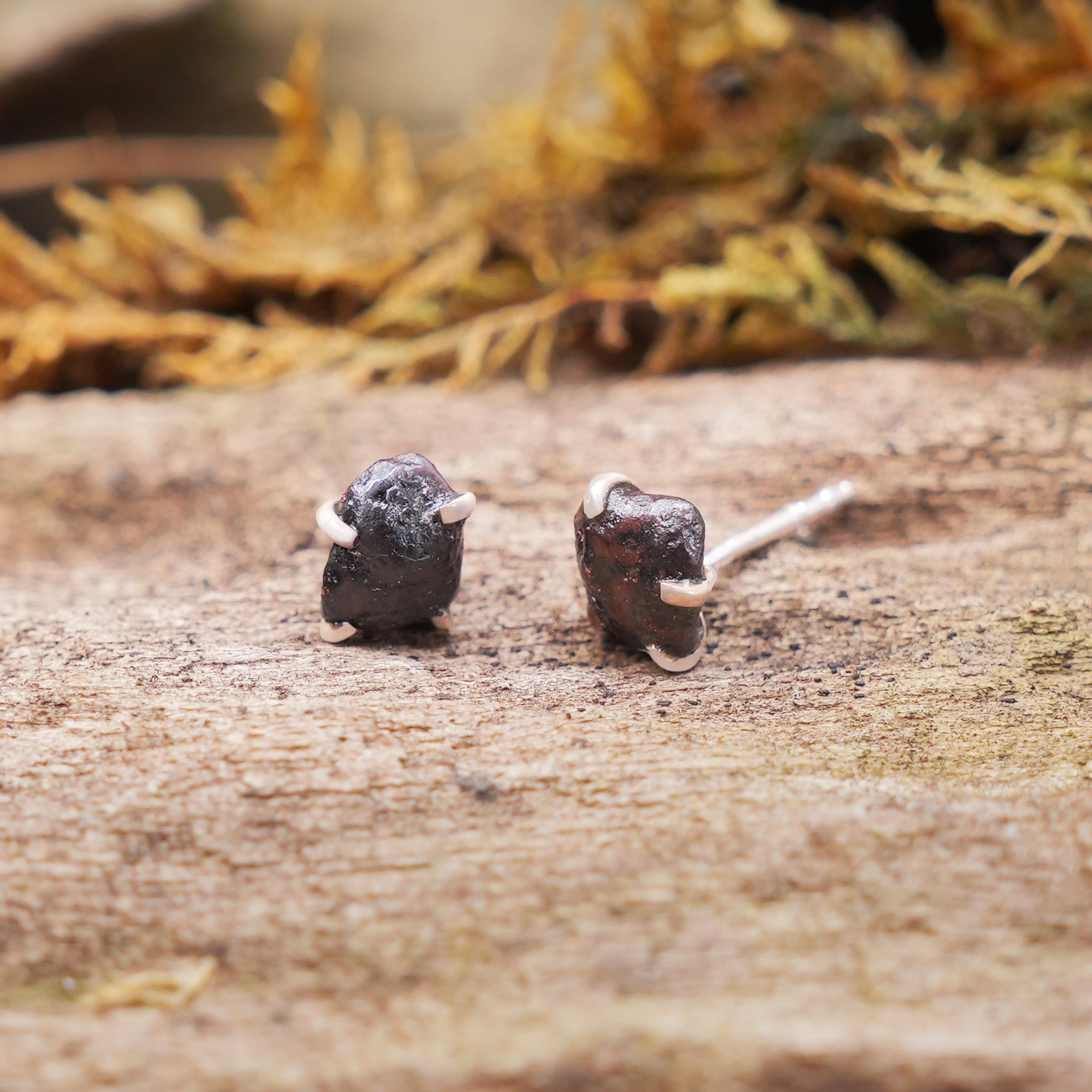 Starborn Agoudal Iron Meteorite Post Earrings in Sterling Silver