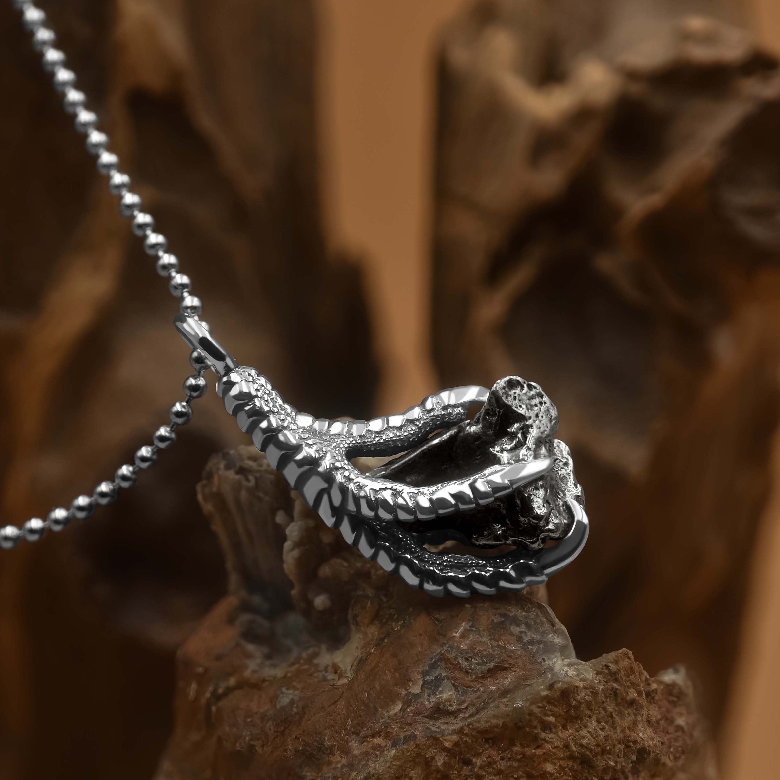 Starborn Campo del Cielo Meteorite Eagle Claw Pendant in Sterling Silver