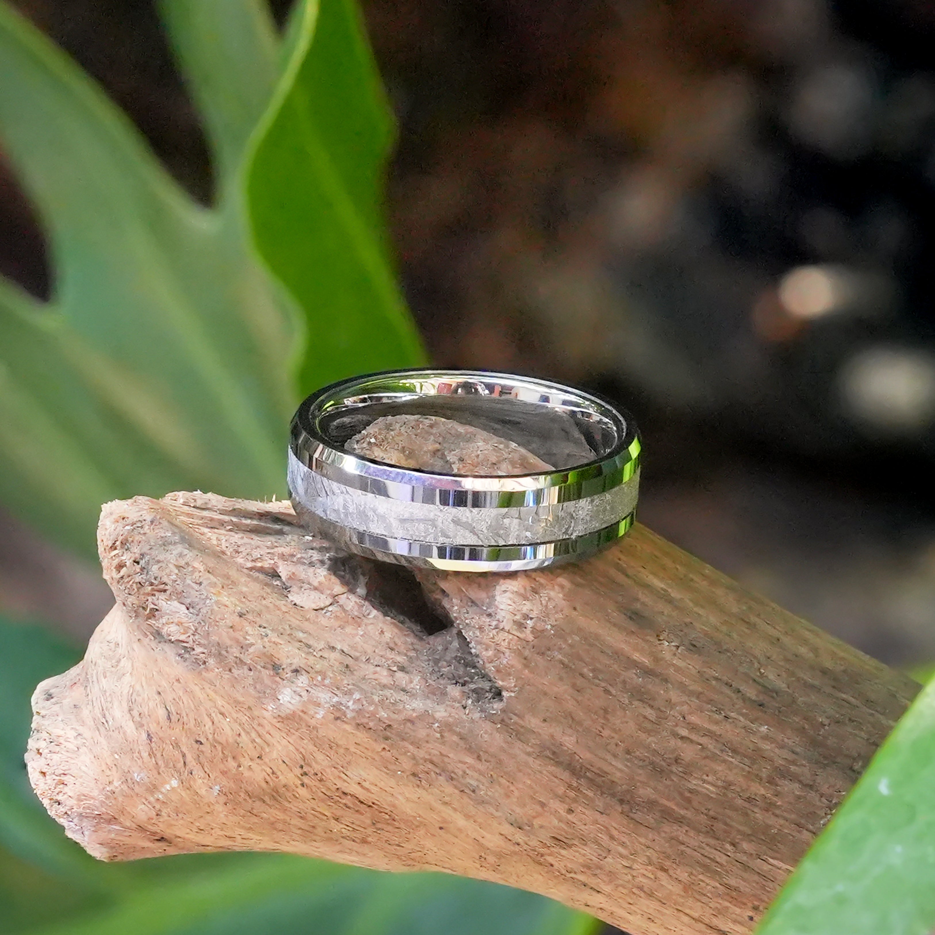 Starborn Aletai Meteorite Inlay Ring with 6mm Tungsten Band