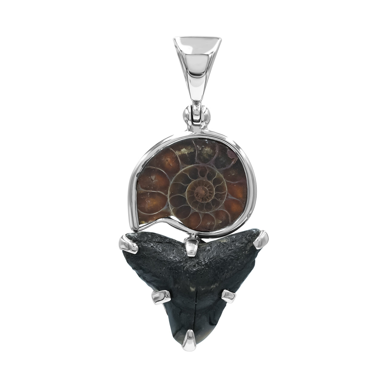 Ammonite &amp; Fossil Shark Tooth Pendant