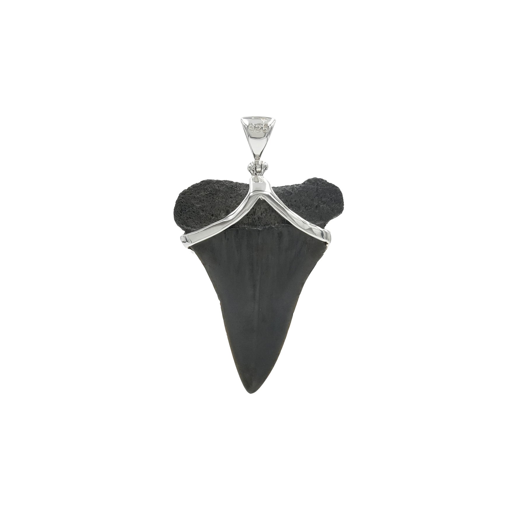 Starborn Fossil Shark Tooth with Dual Turquoise V-Wrap Setting Pendant in Sterling Silver