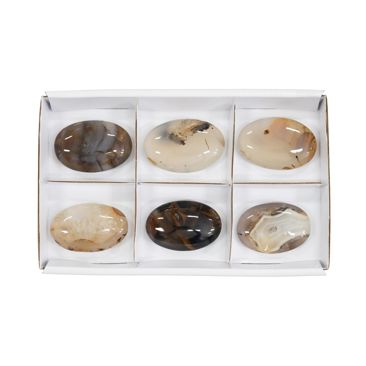 Starborn Montana Agate Palm Stone Flat 300g - 6 pcs
