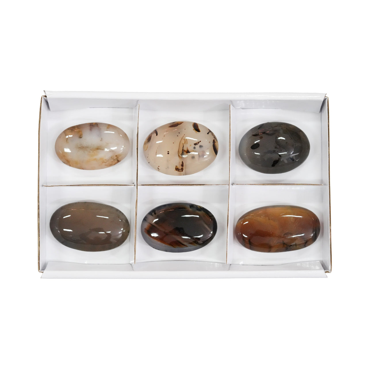 Starborn Montana Agate Palm Stone Flat 300g - 6 pcs