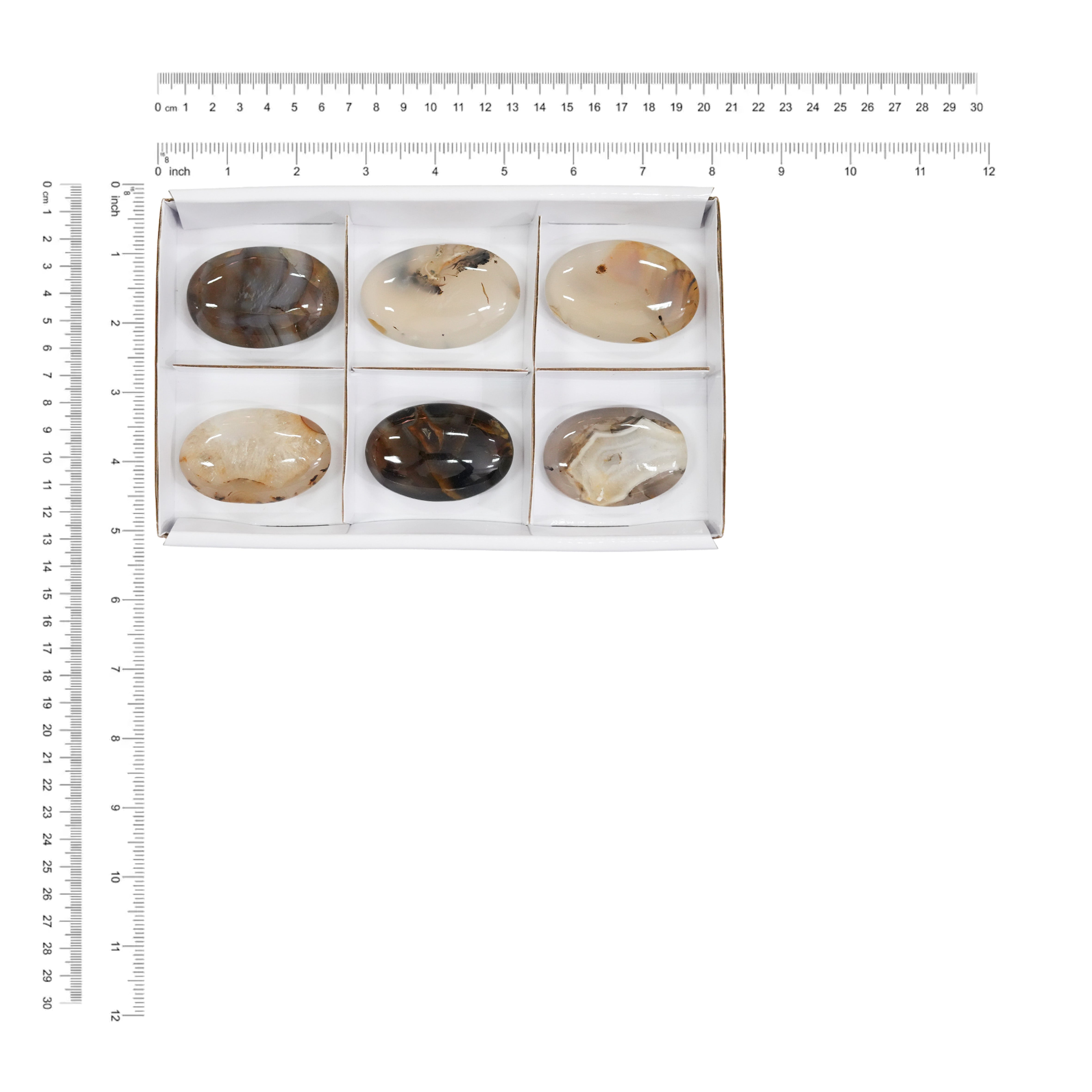 Starborn Montana Agate Palm Stone Flat 300g - 6 pcs