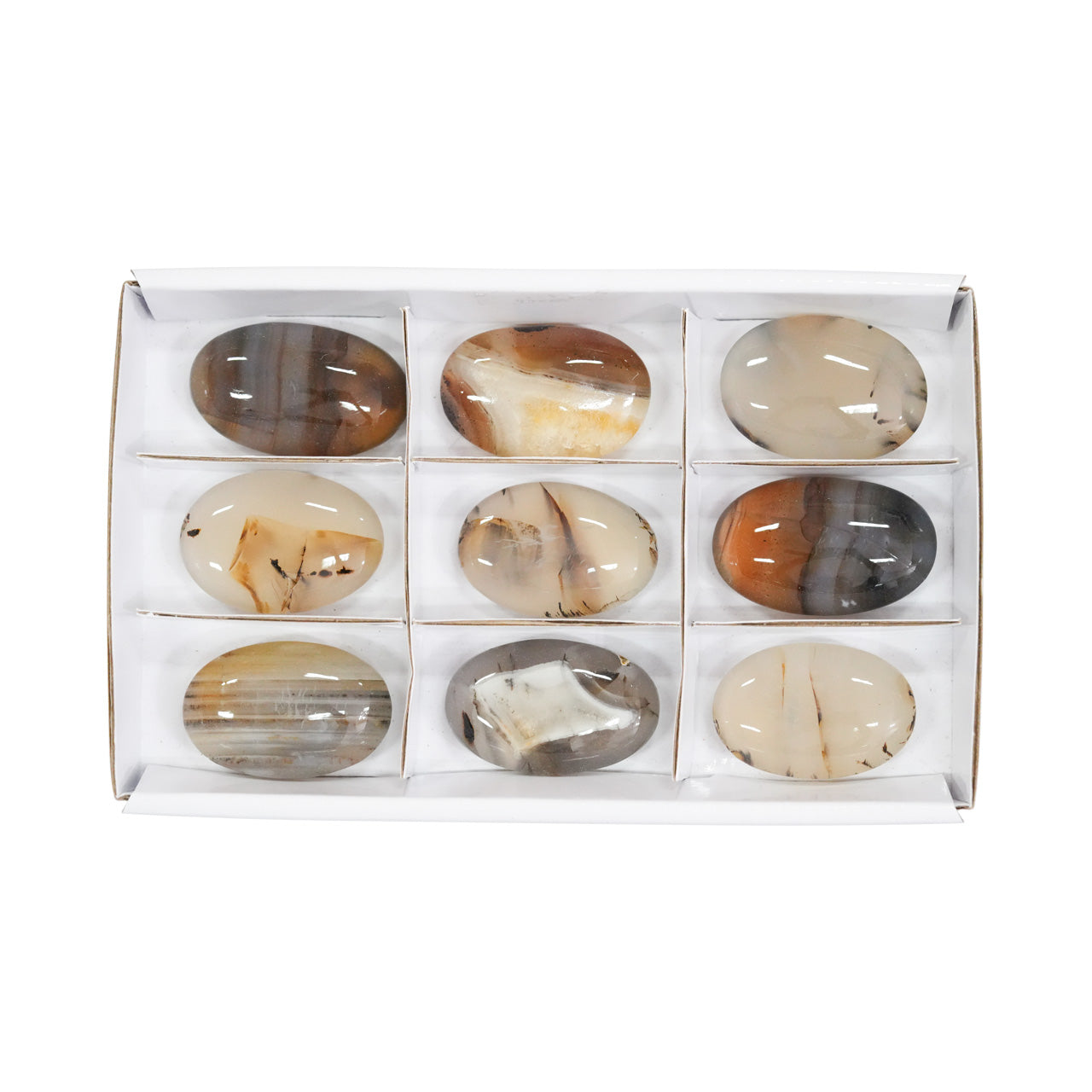 Starborn Montana Agate Palm Stone Flat 350g - 9 pcs