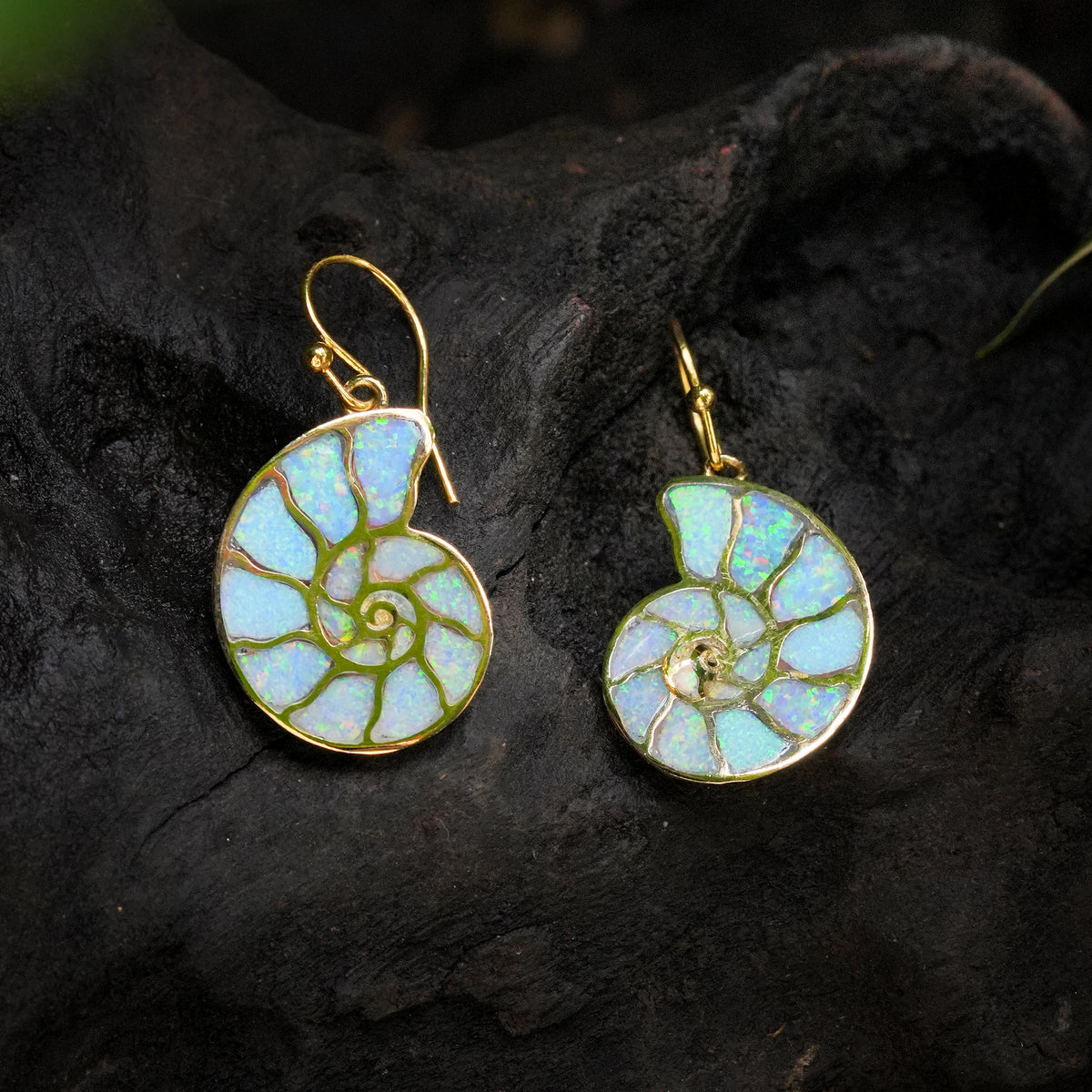 Starborn Cultured Opal Inlay Nautilus Earrings