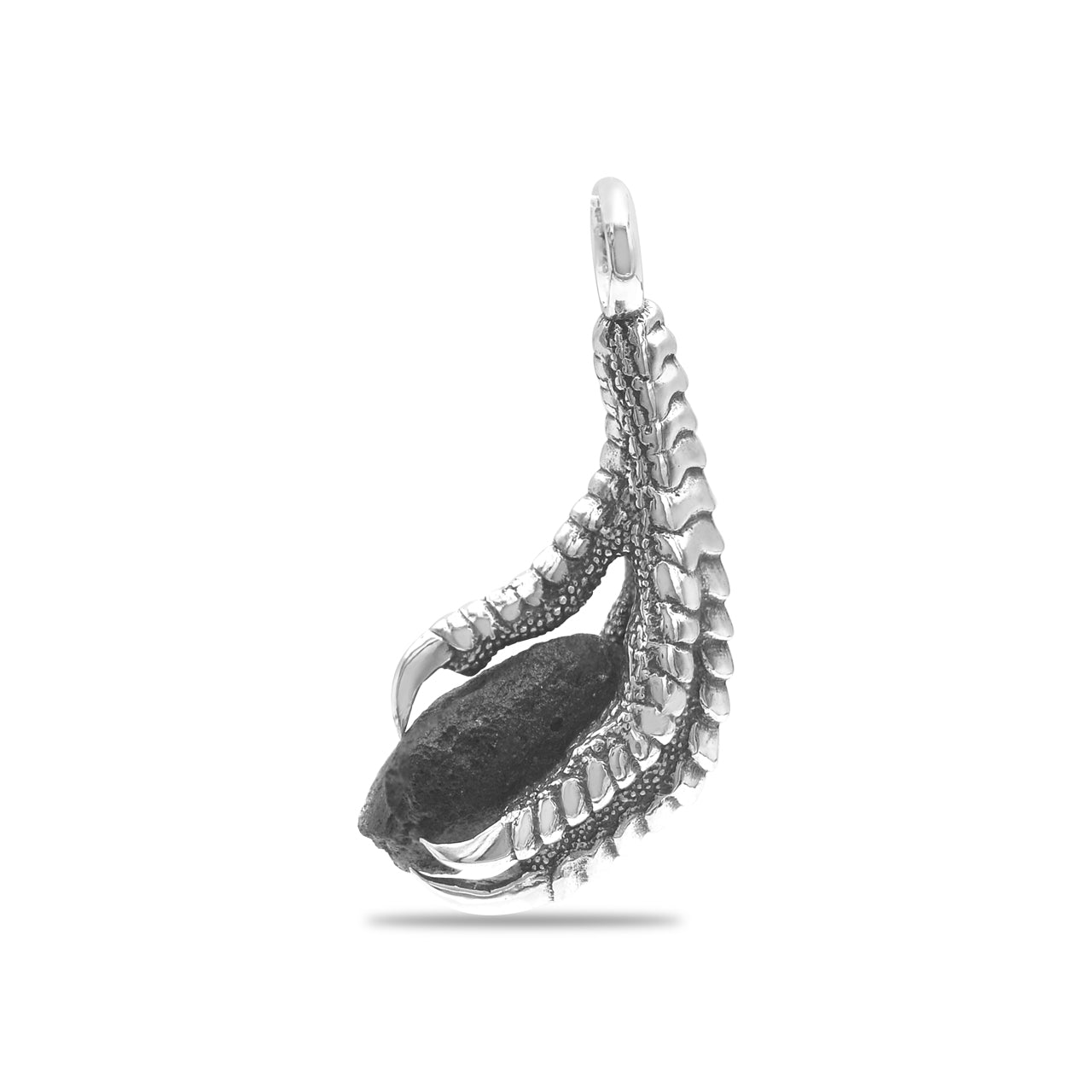 Starborn Gemstone Eagle Claw Pendant in Sterling Silver