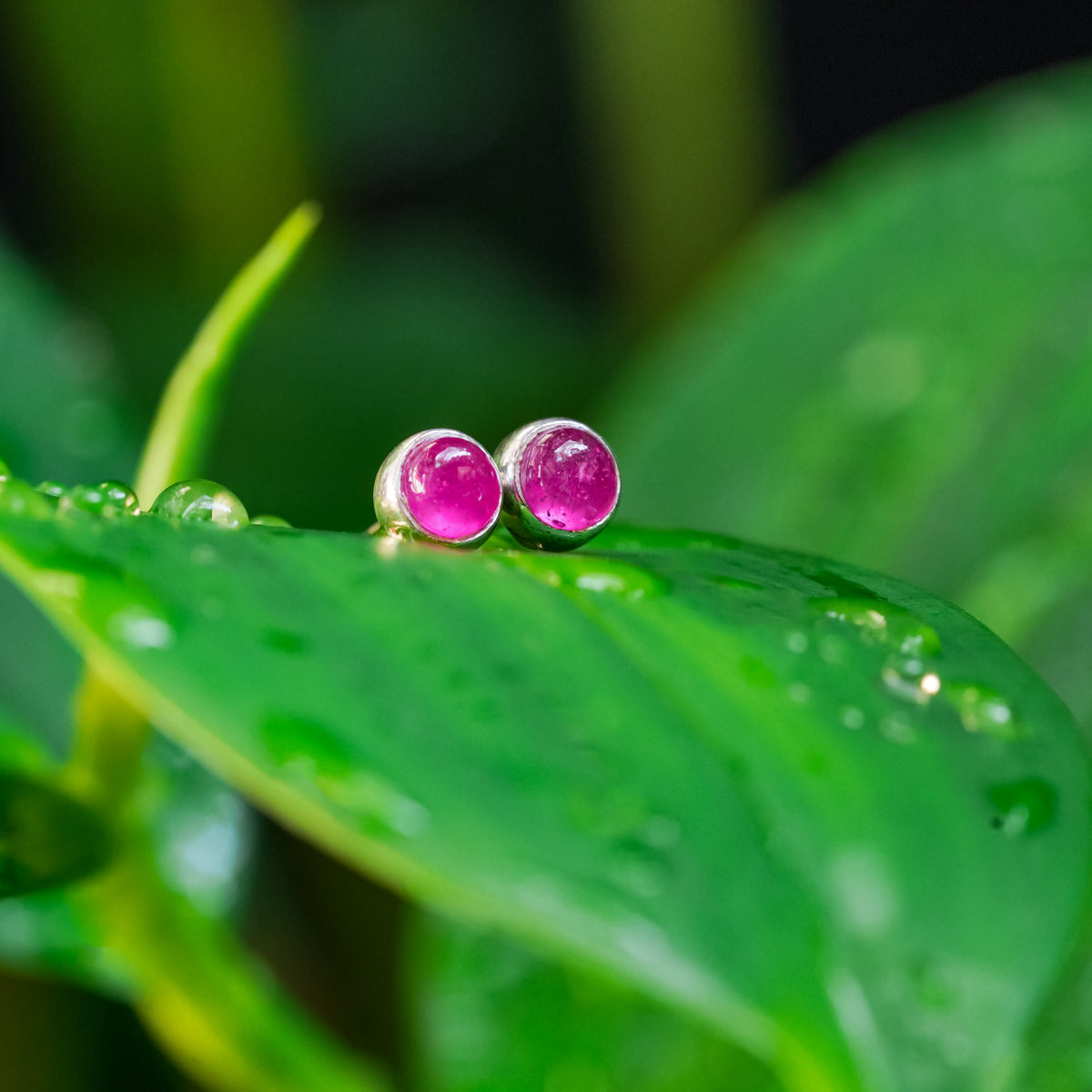 Runde Ohrstecker im Ohrstecker-Stil von Starborn Ruby aus Sterlingsilber