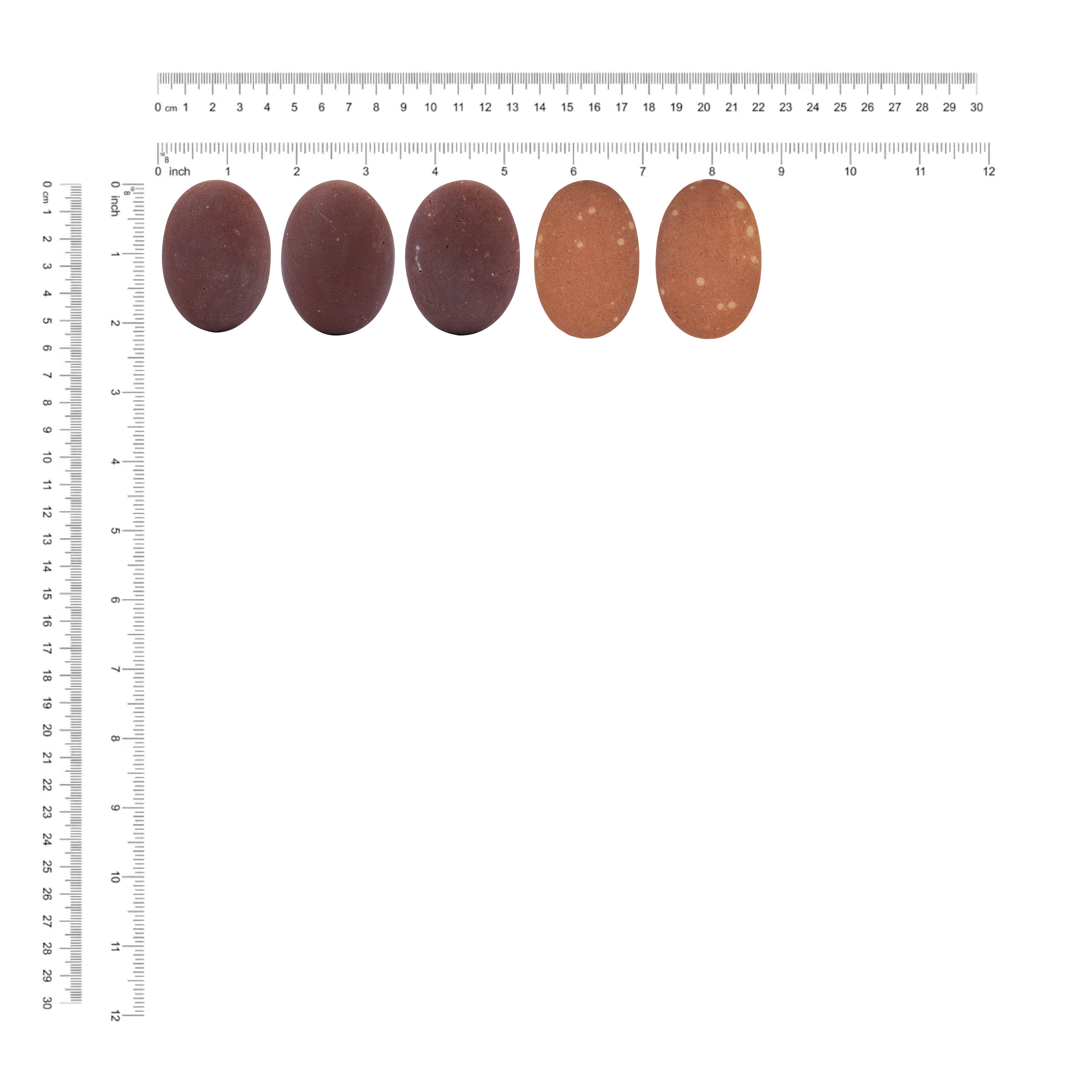 Starborn Sedona Vortex Red Rock Oval Palm Stone