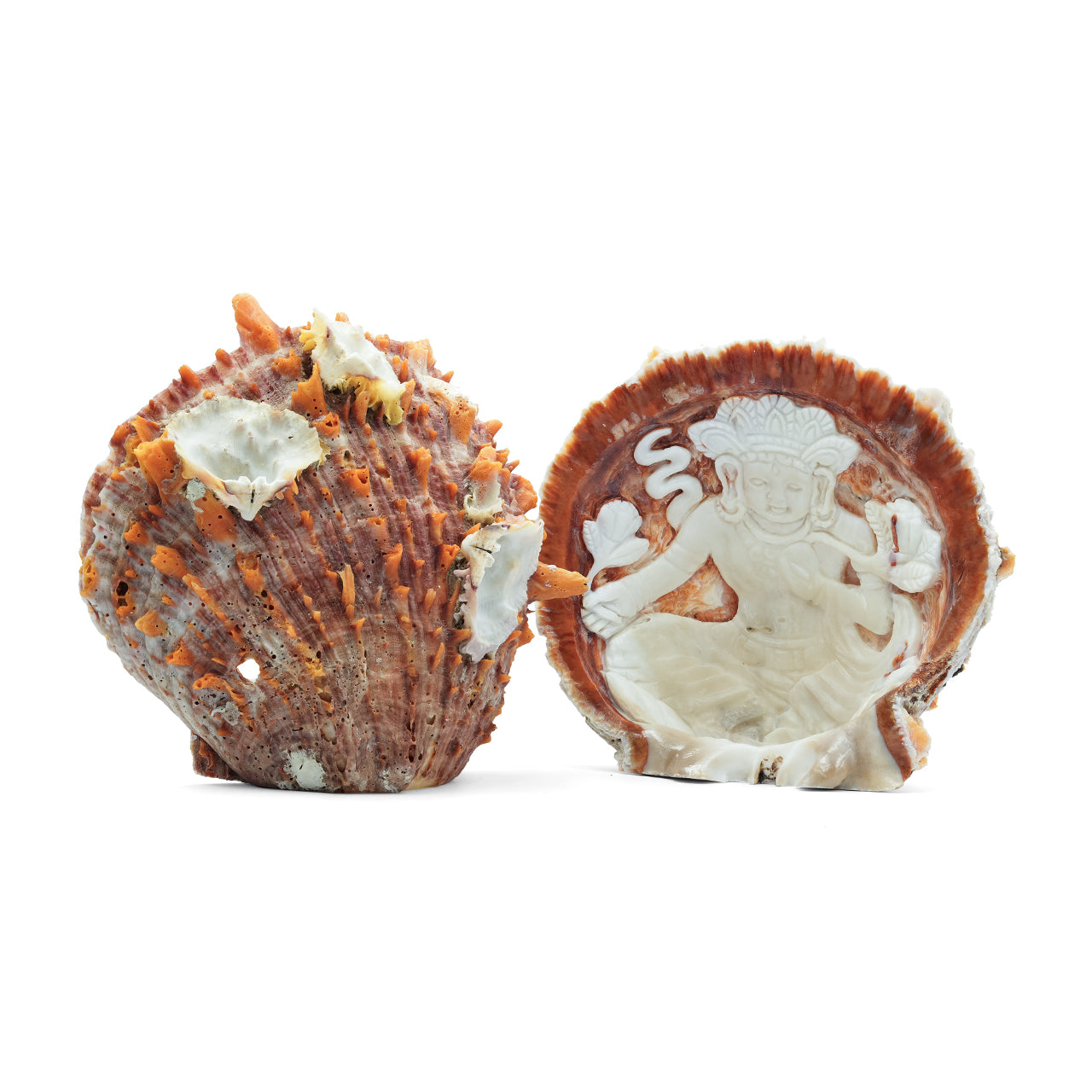 Carved Spiney Oyster Shell Featuring Tara Goddess