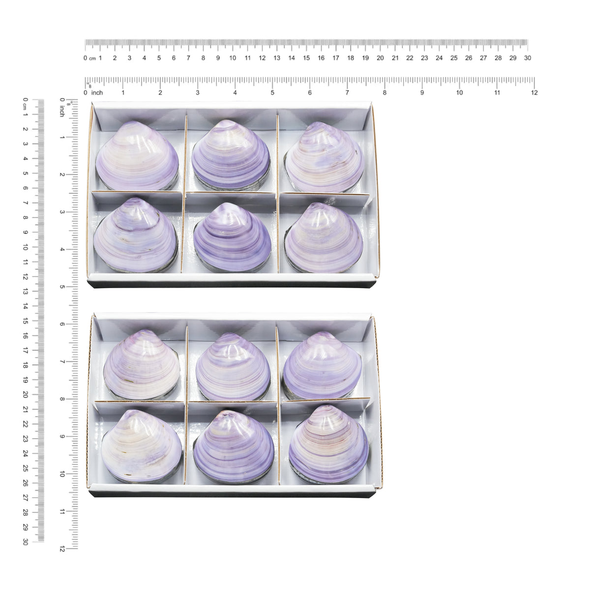 Starborn Prehnit Handschmeichler flach 350g - 6 Stück
