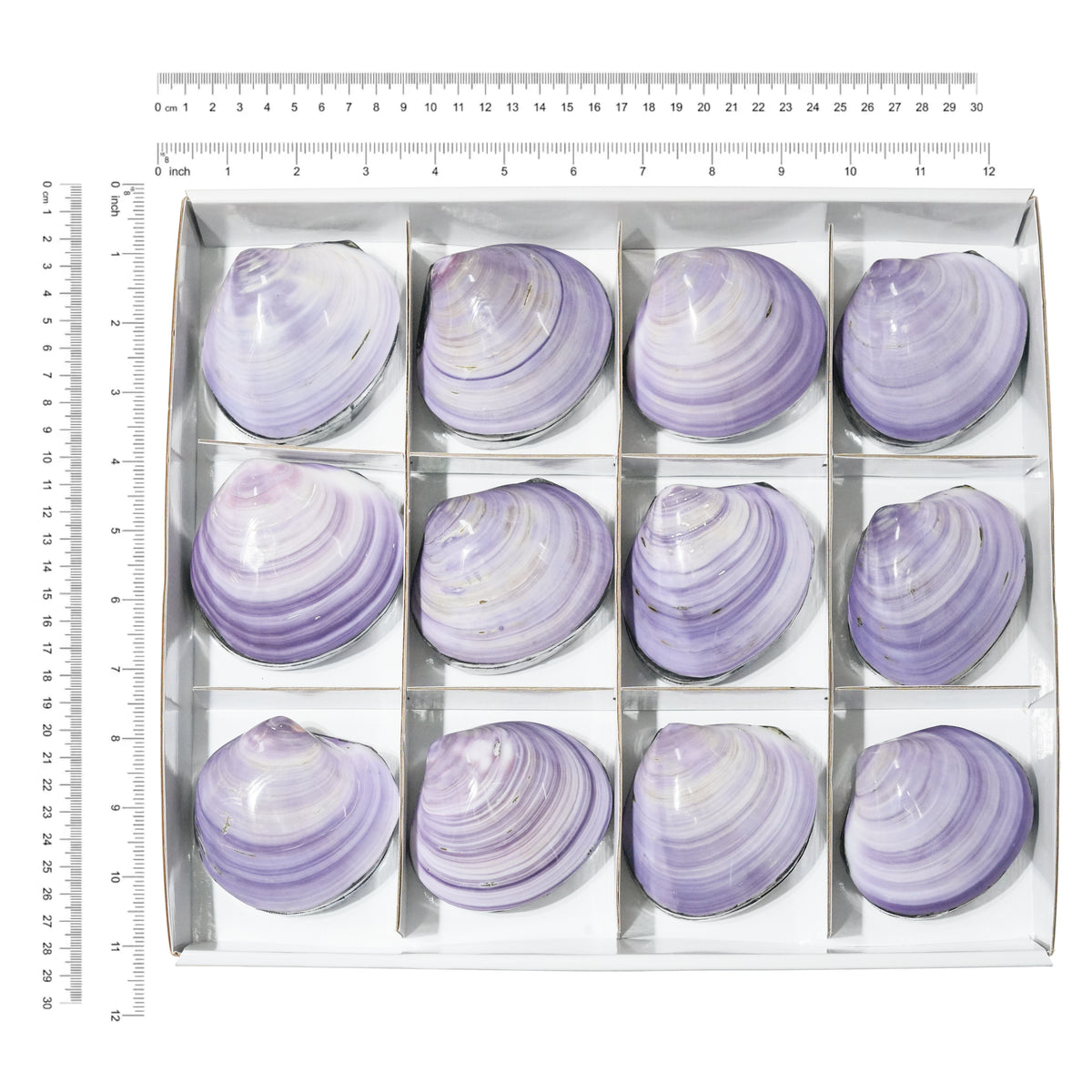 Starborn Prehnit Handschmeichler flach 350g - 6 Stück