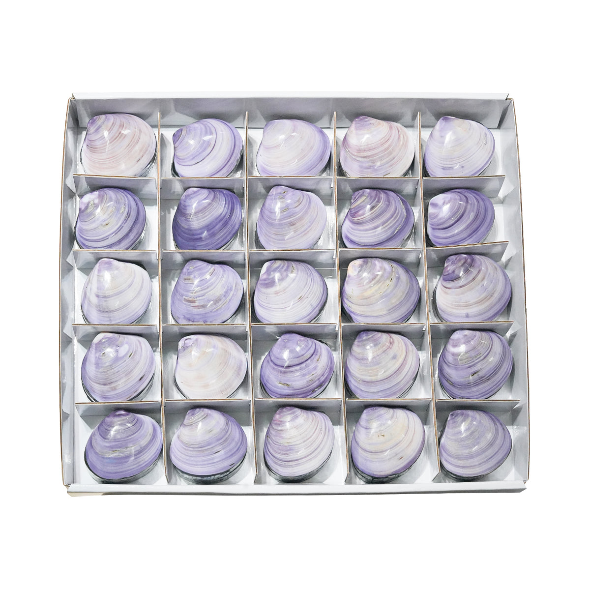 Starborn Prehnit Handschmeichler flach 350g - 6 Stück