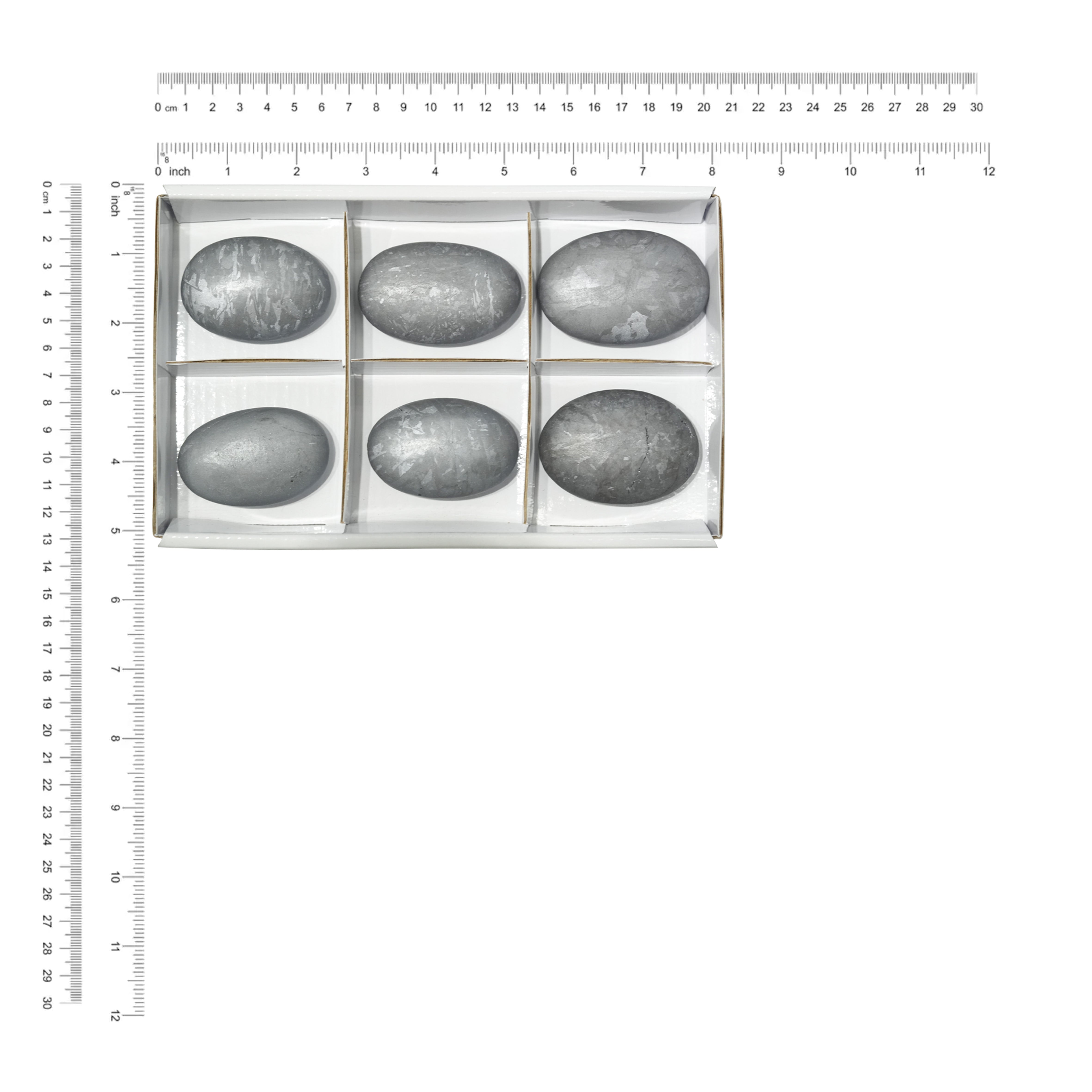Starborn Silica Palm Stone Flat 300g - 6 pcs