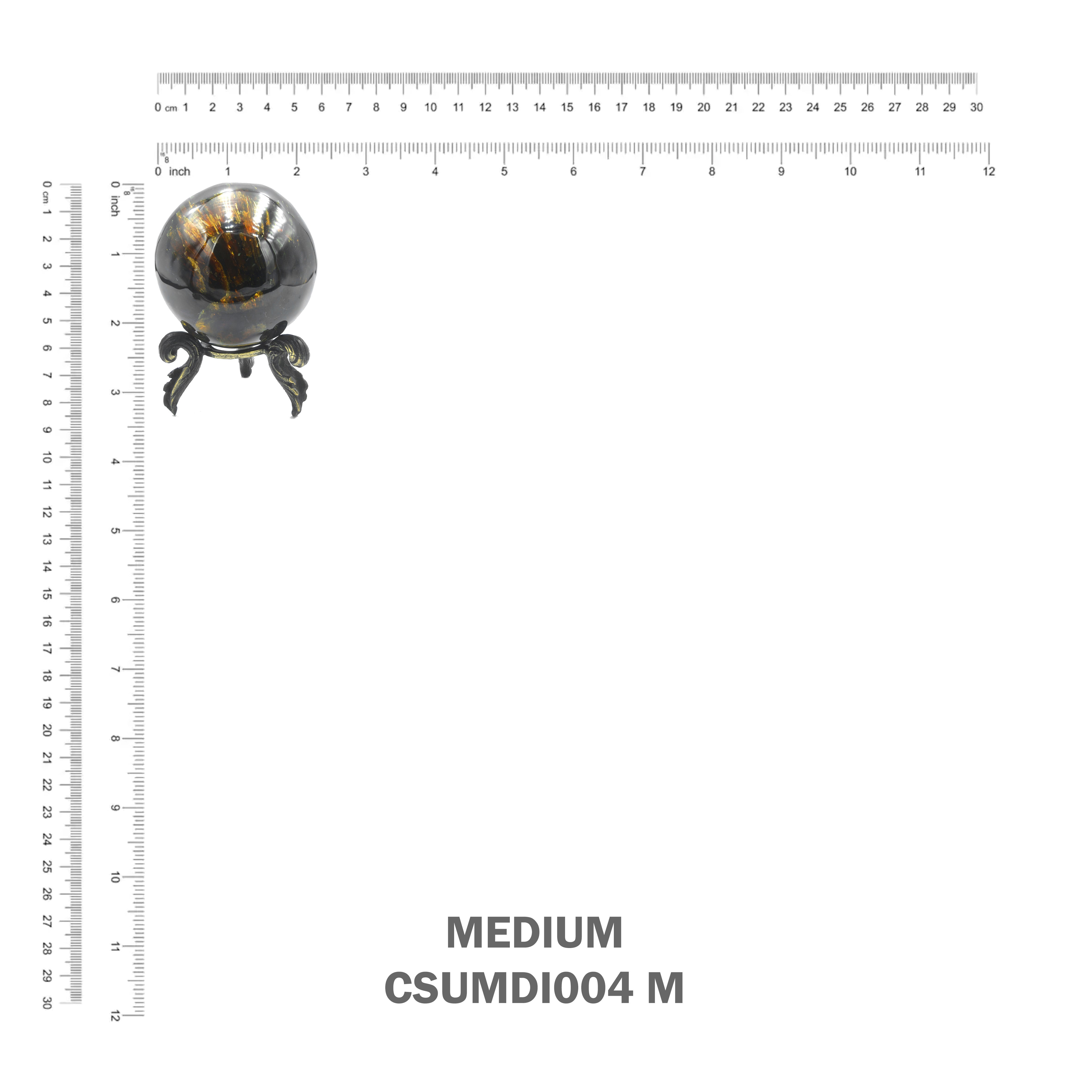 Esfera de exhibición ámbar de melena de león de Sumatra de Starborn con soporte de latón