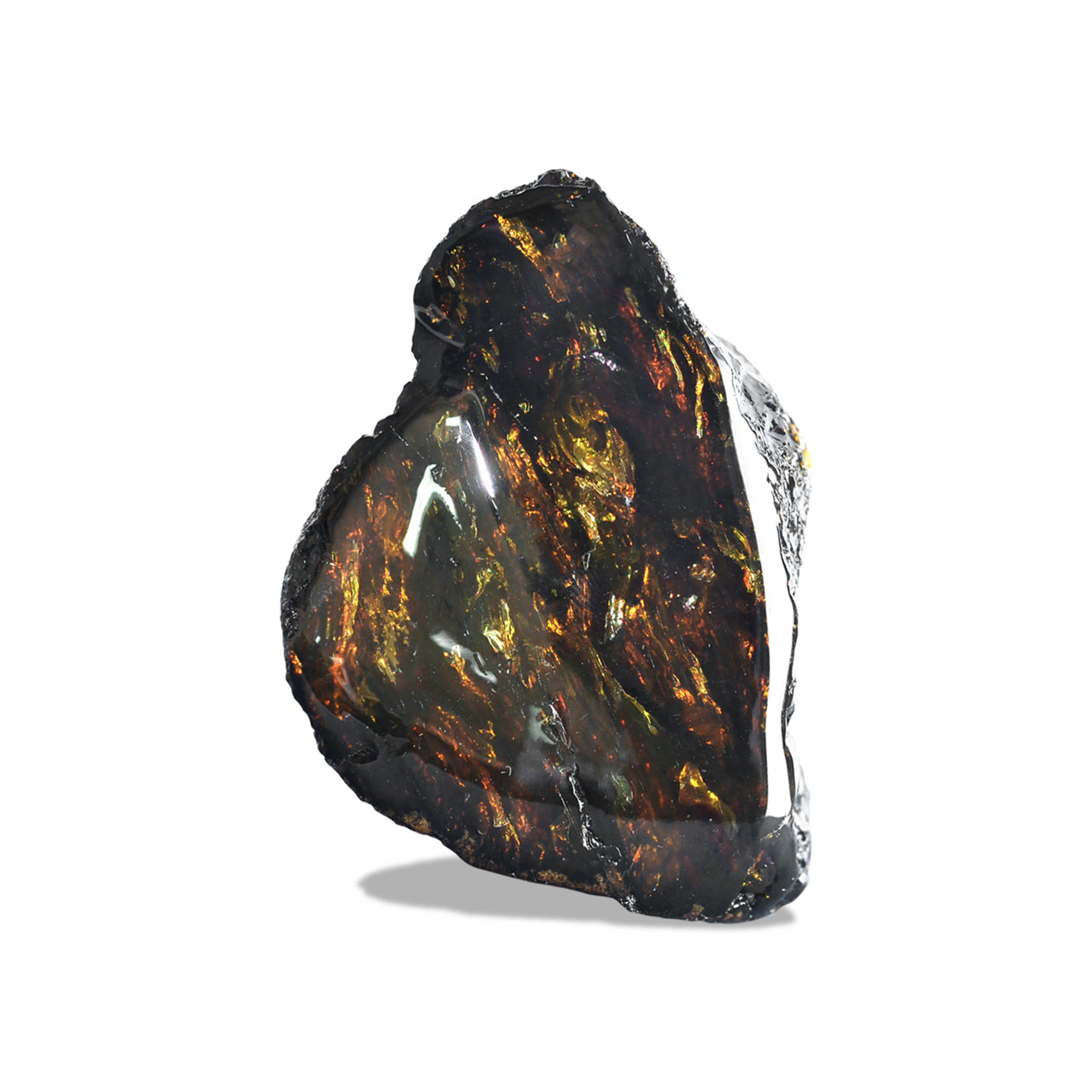 Starborn Sumatra Lion's Mane Amber (80-100 grams) – 1 Piece