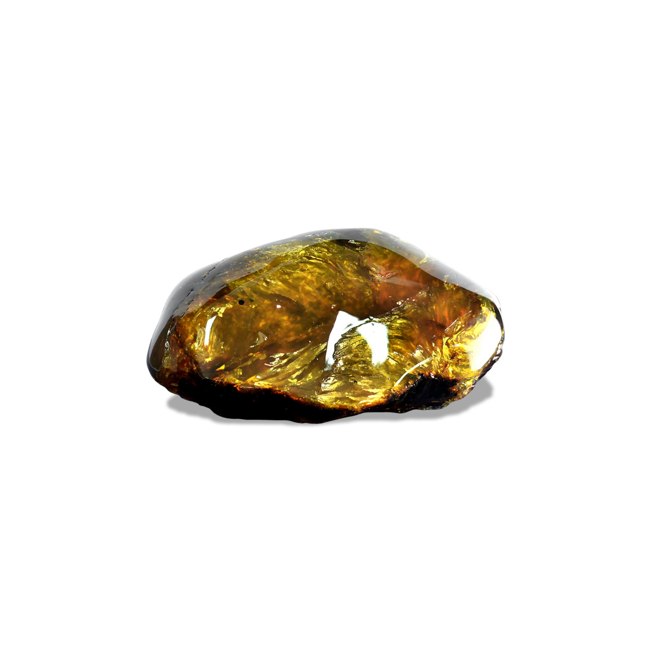 Starborn Sumatra Lion's Mane Amber (80-100 grams) – 1 Piece