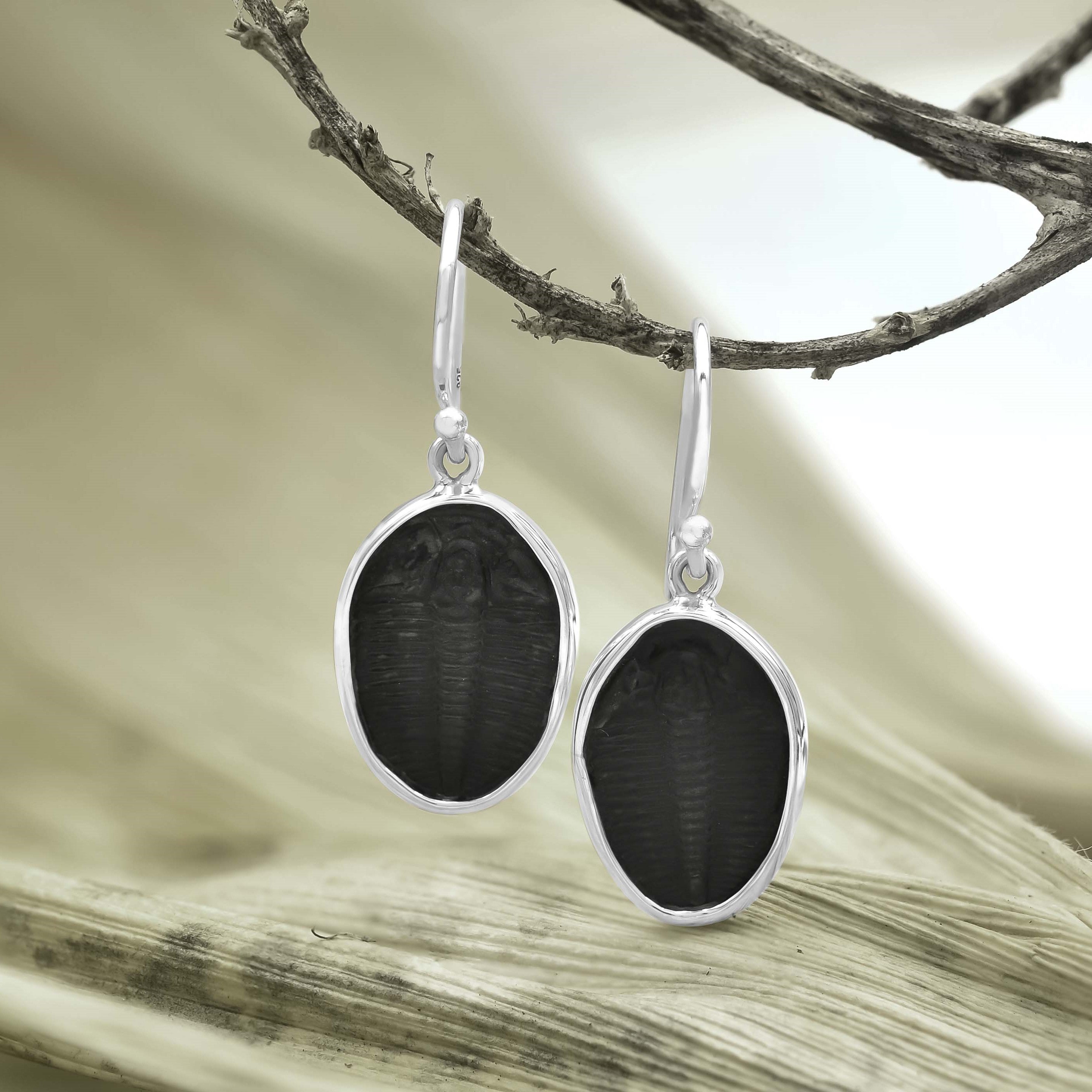 Starborn Fossil Trilobite Drop Earrings in Sterling Silver
