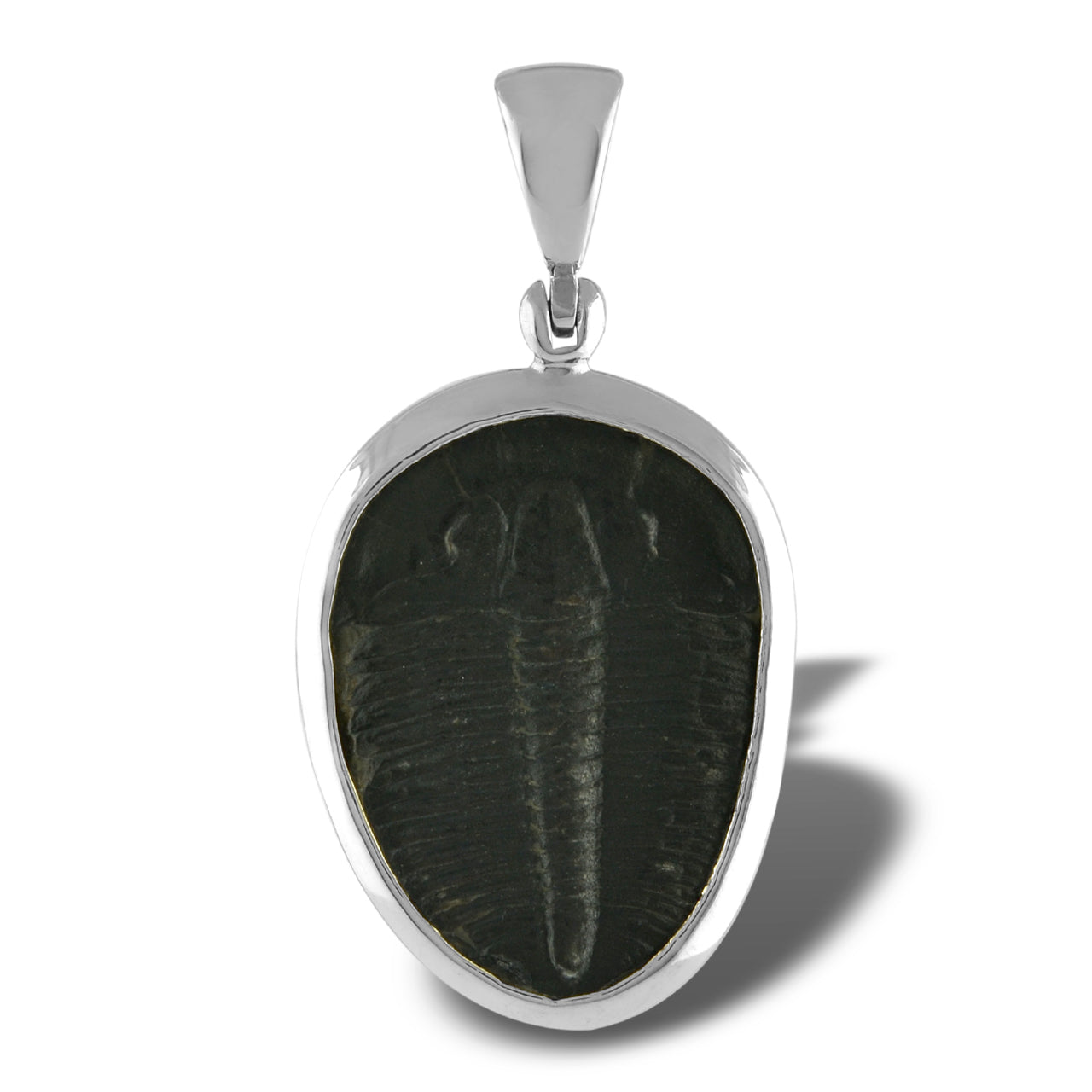 Starborn Fossilized Trilobite Bezel Set Pendant in Sterling Silver