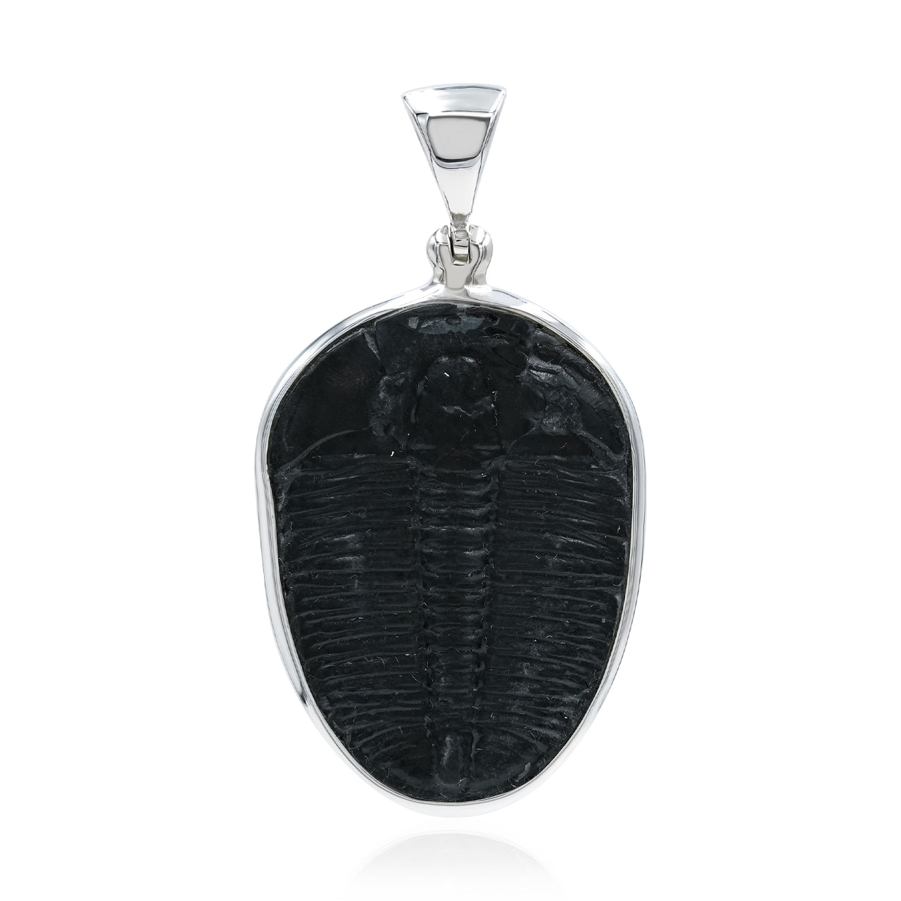 Starborn Fossilized Trilobite Bezel Set Pendant in Sterling Silver