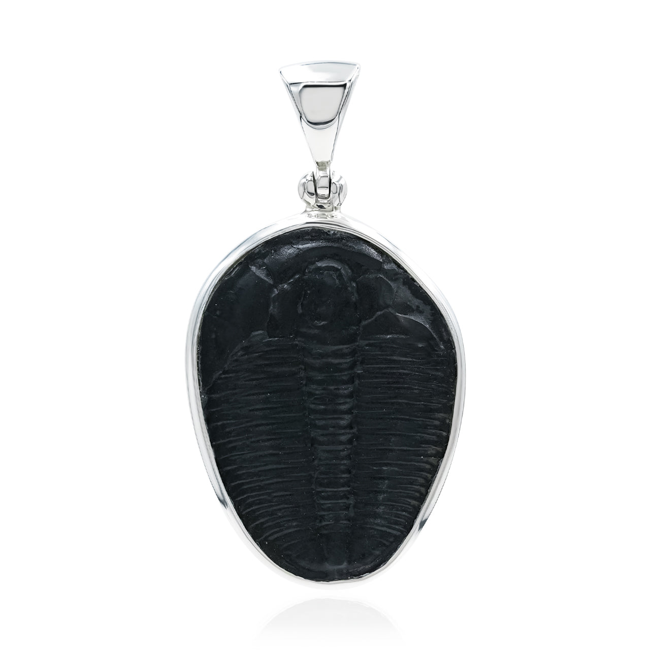 Starborn Fossilized Trilobite Bezel Set Pendant in Sterling Silver
