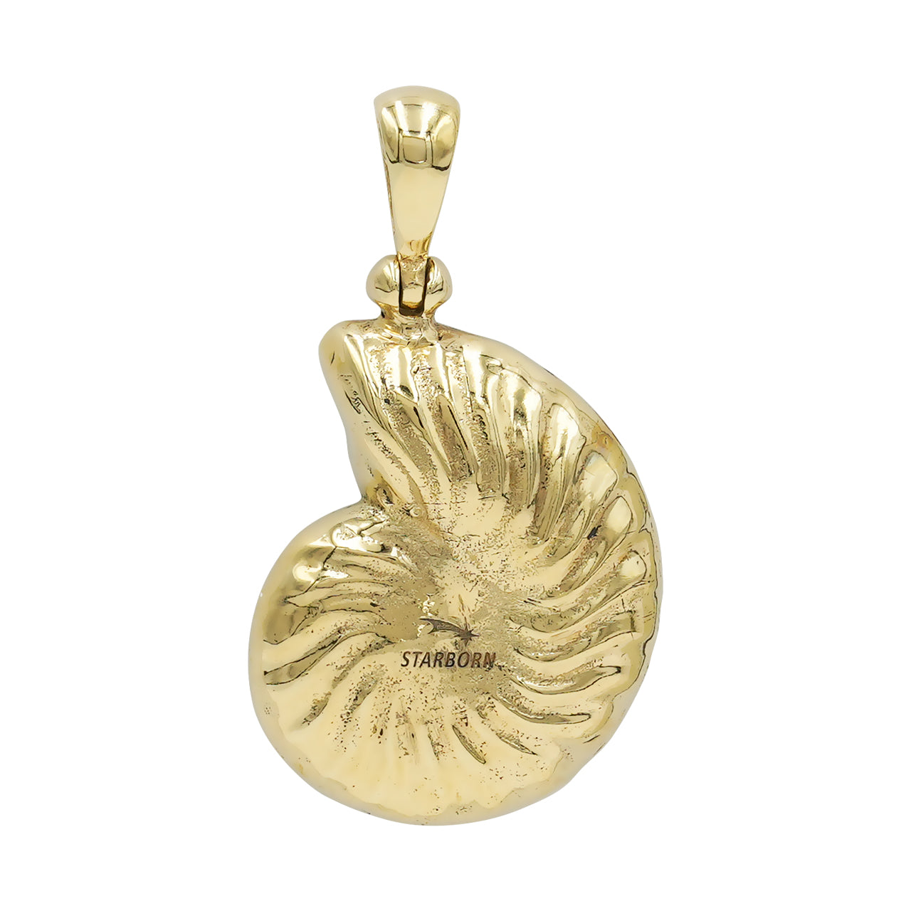 Colgante de amonita nautilus con incrustaciones de turquesa "La Bella Durmiente" Starborn en plata de ley