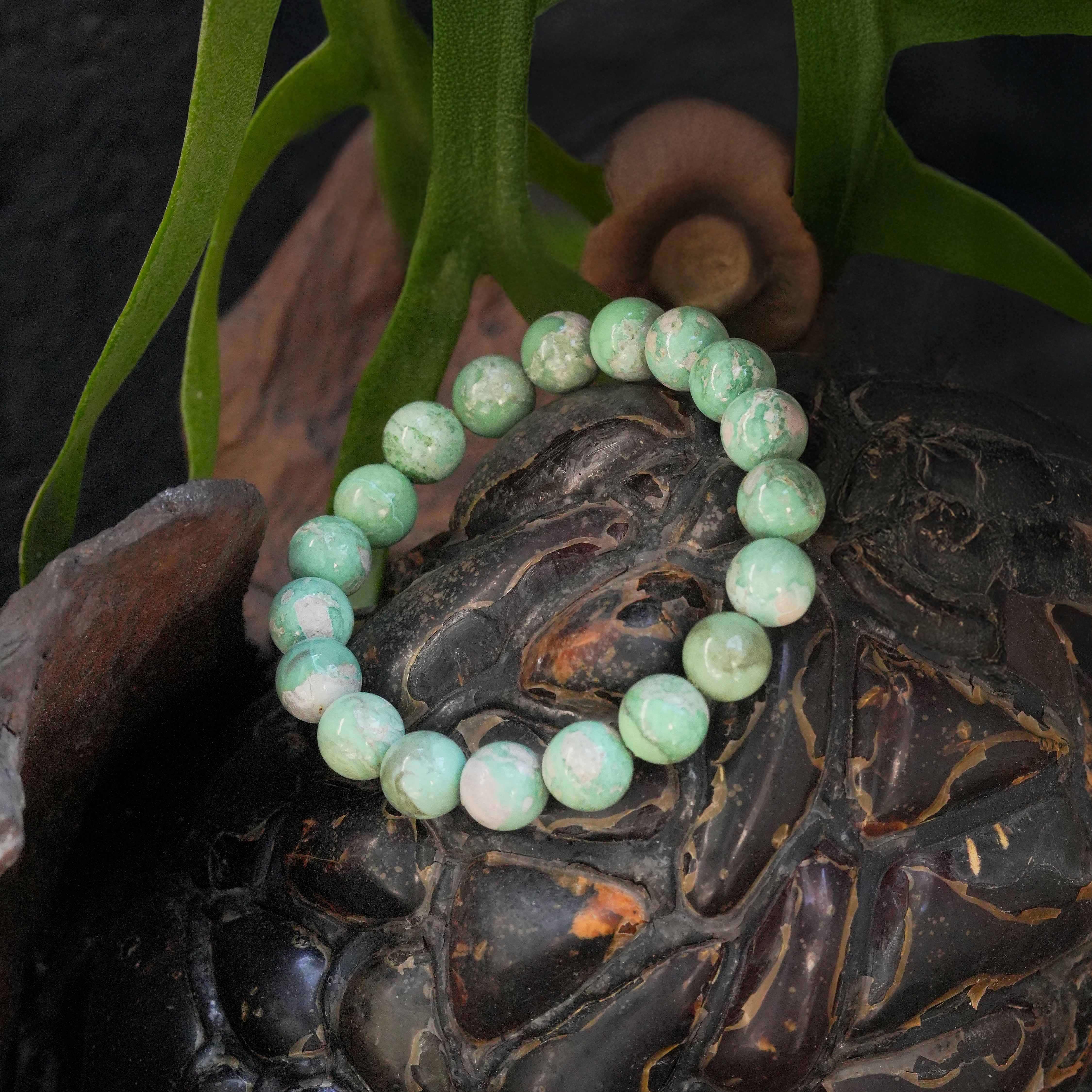 Starborn Variscite Elastic Beaded Bracelet